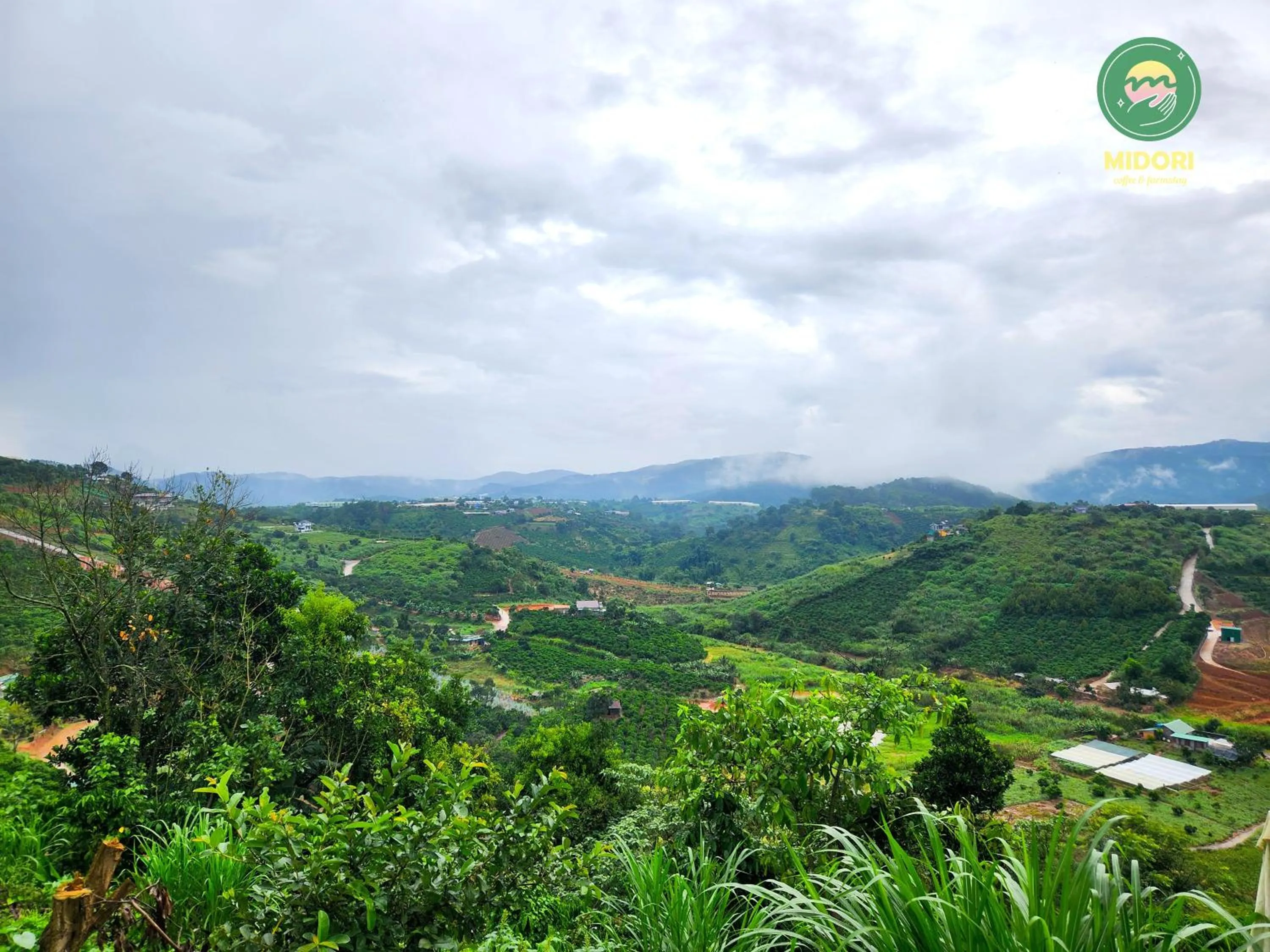 Day in Midori Heritage Coffee Farm