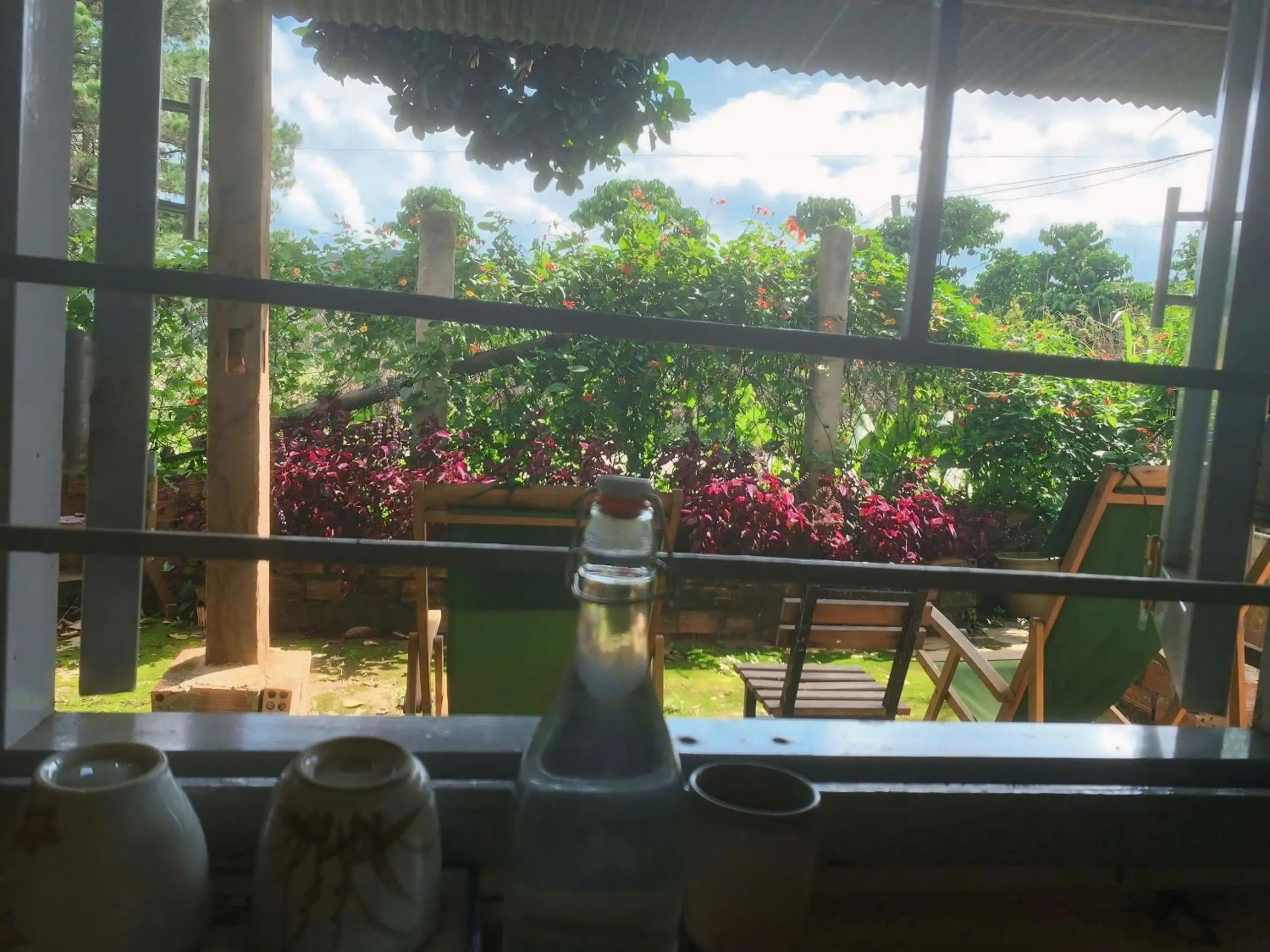 View (from property/room) in Midori Heritage Coffee Farm