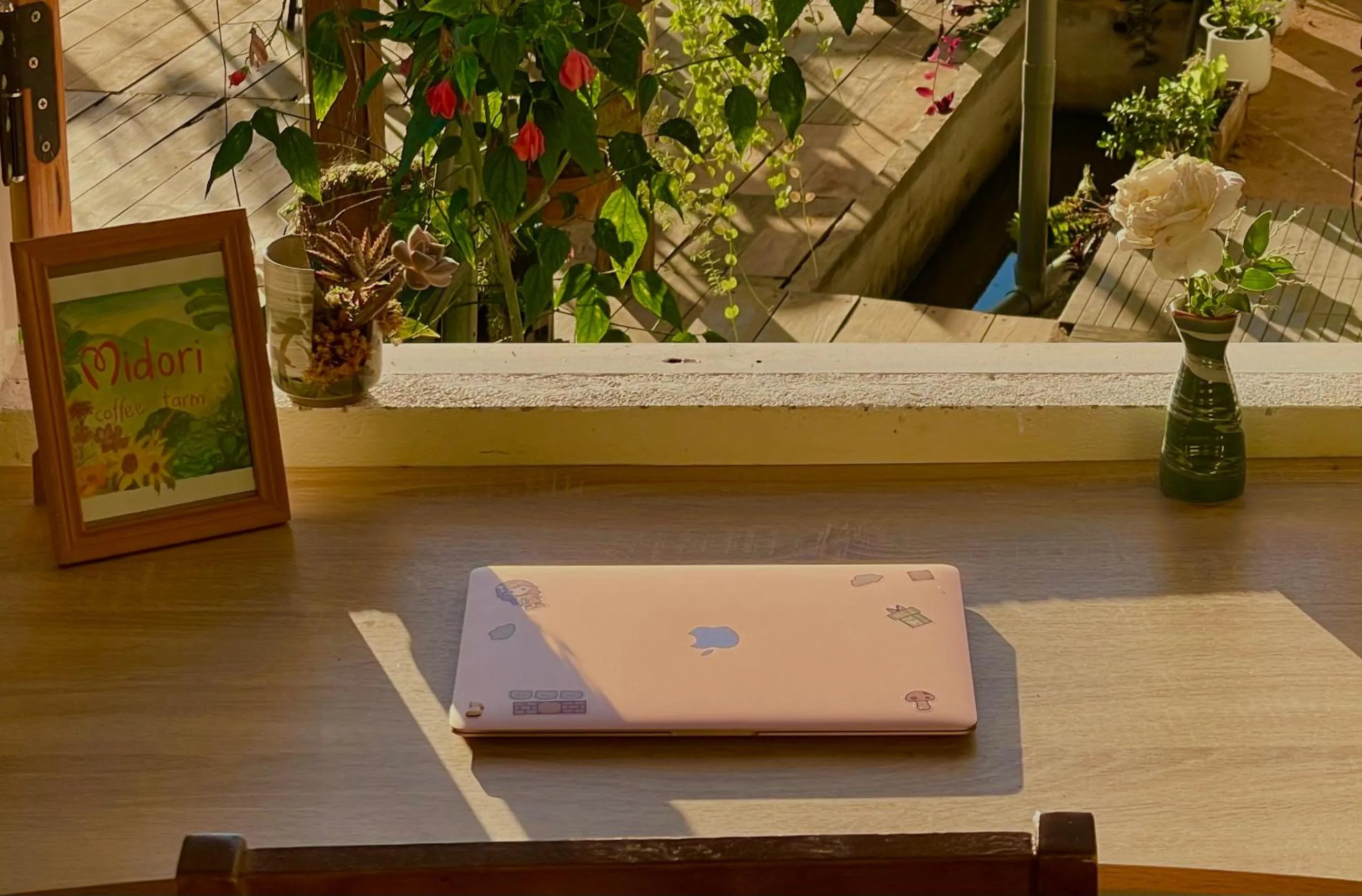 View (from property/room) in Midori Heritage Coffee Farm