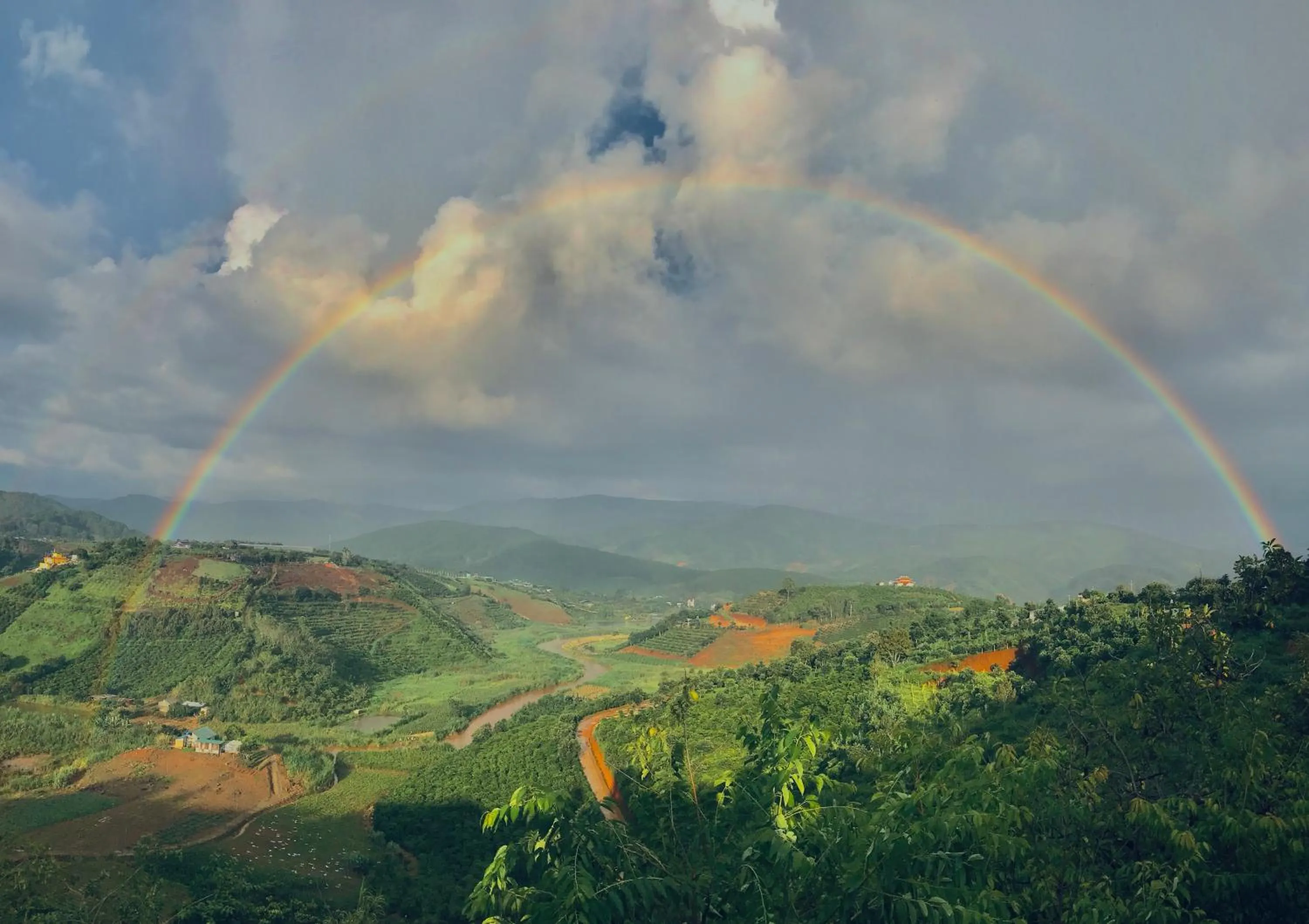 Midori Heritage Coffee Farm