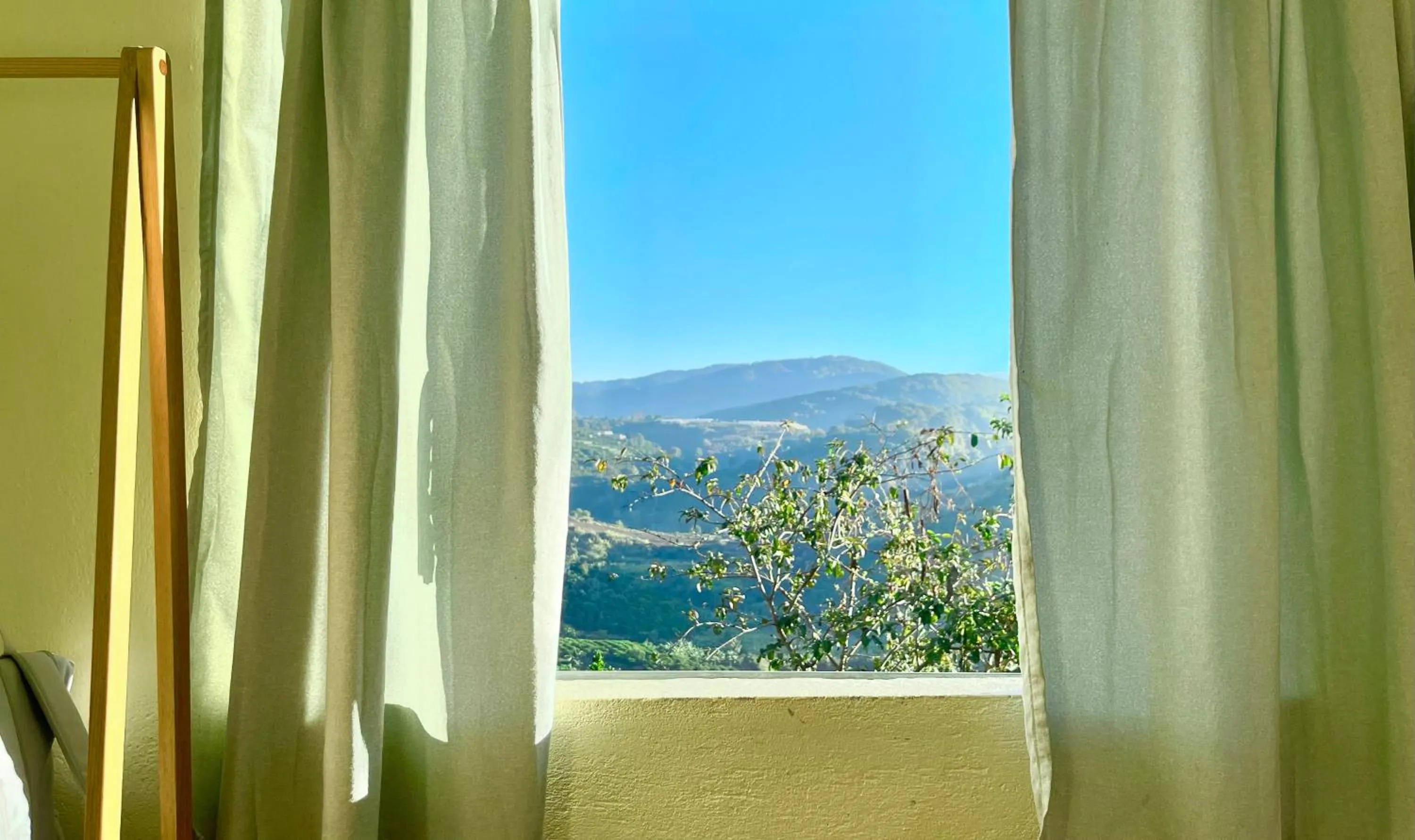 Natural landscape in Midori Heritage Coffee Farm