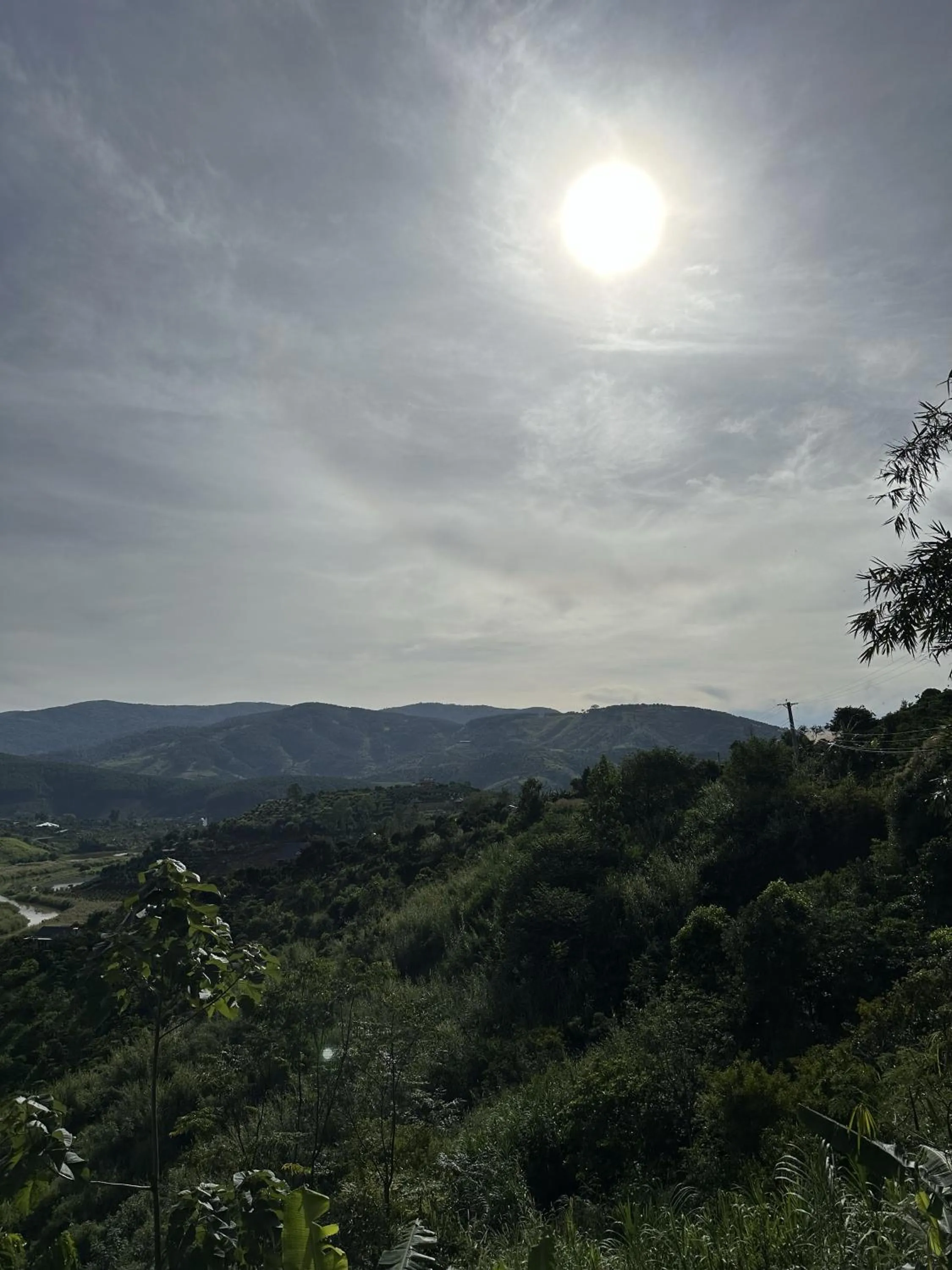 Mountain view in Midori Heritage Coffee Farm