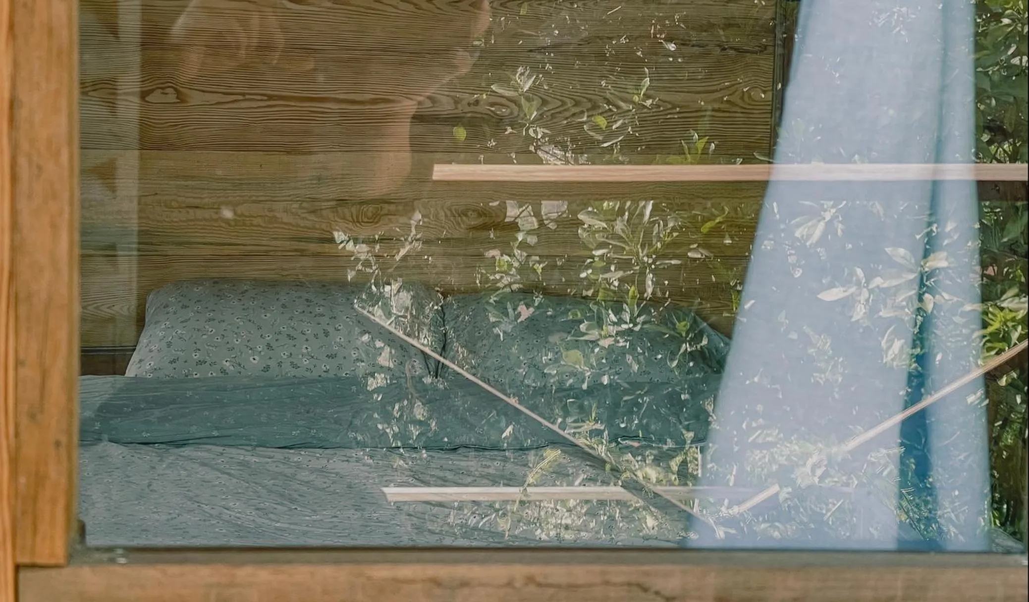 Natural landscape in Midori Heritage Coffee Farm