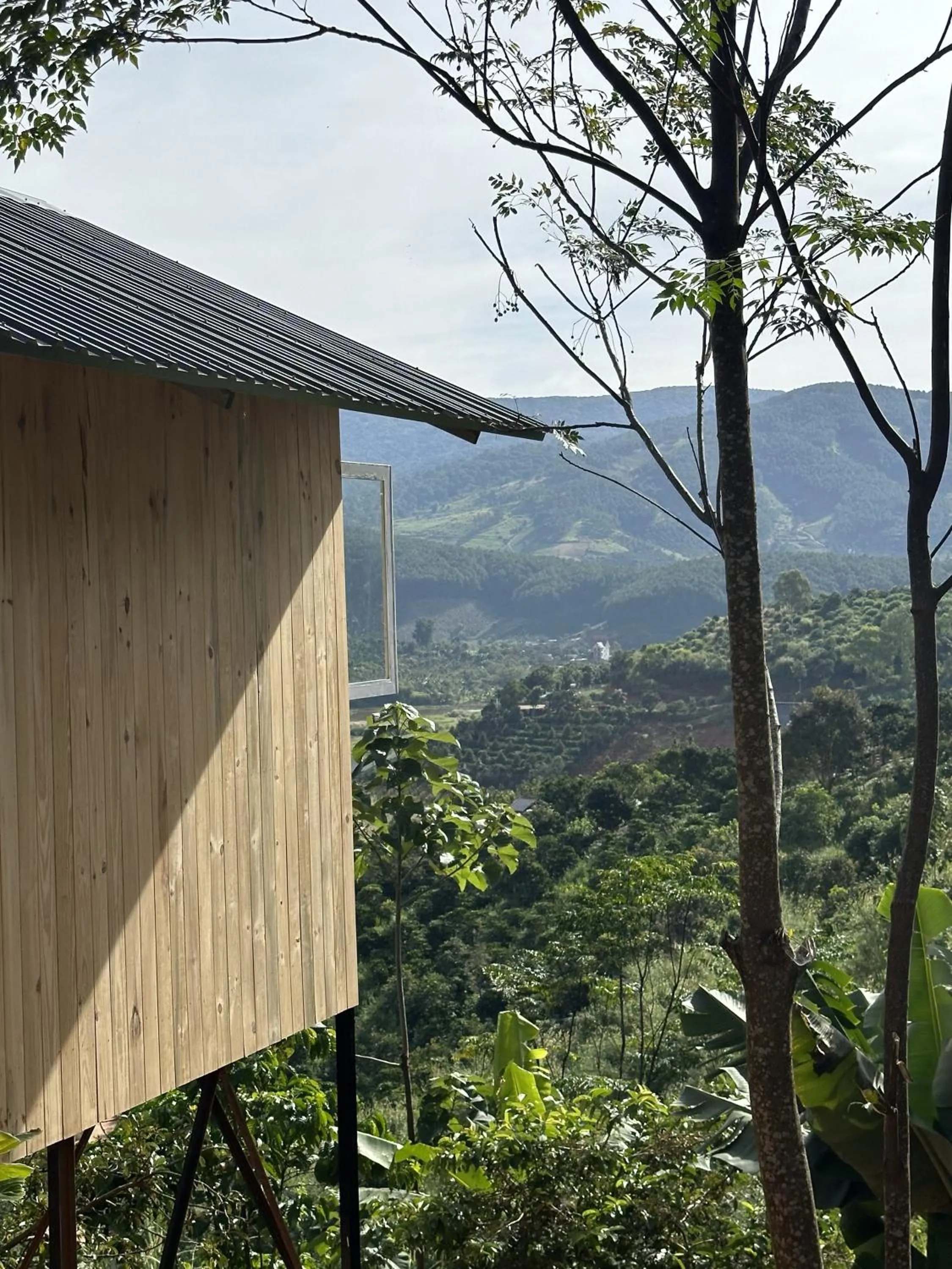 Natural landscape in Midori Heritage Coffee Farm