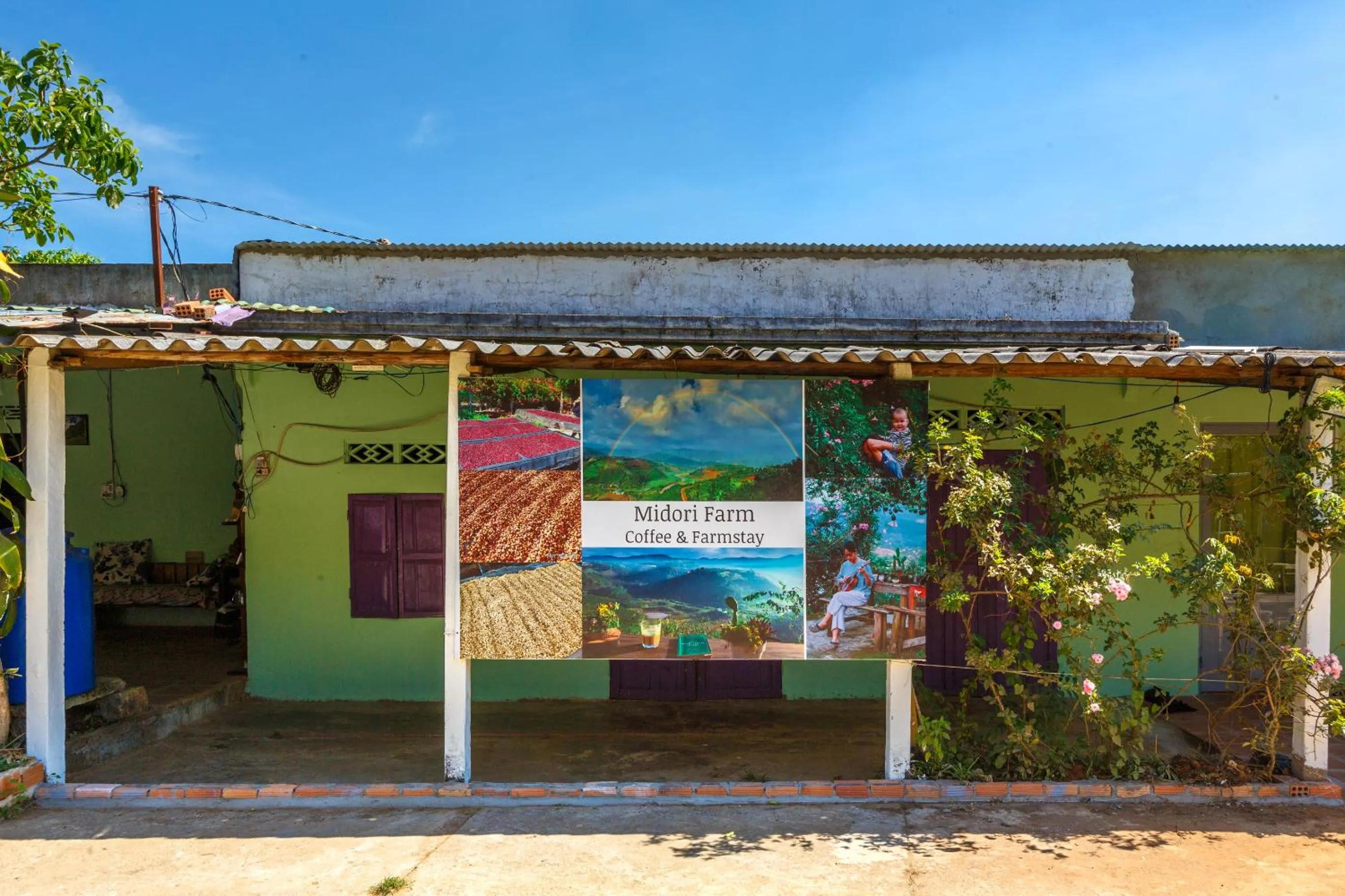 Day in Midori Heritage Coffee Farm