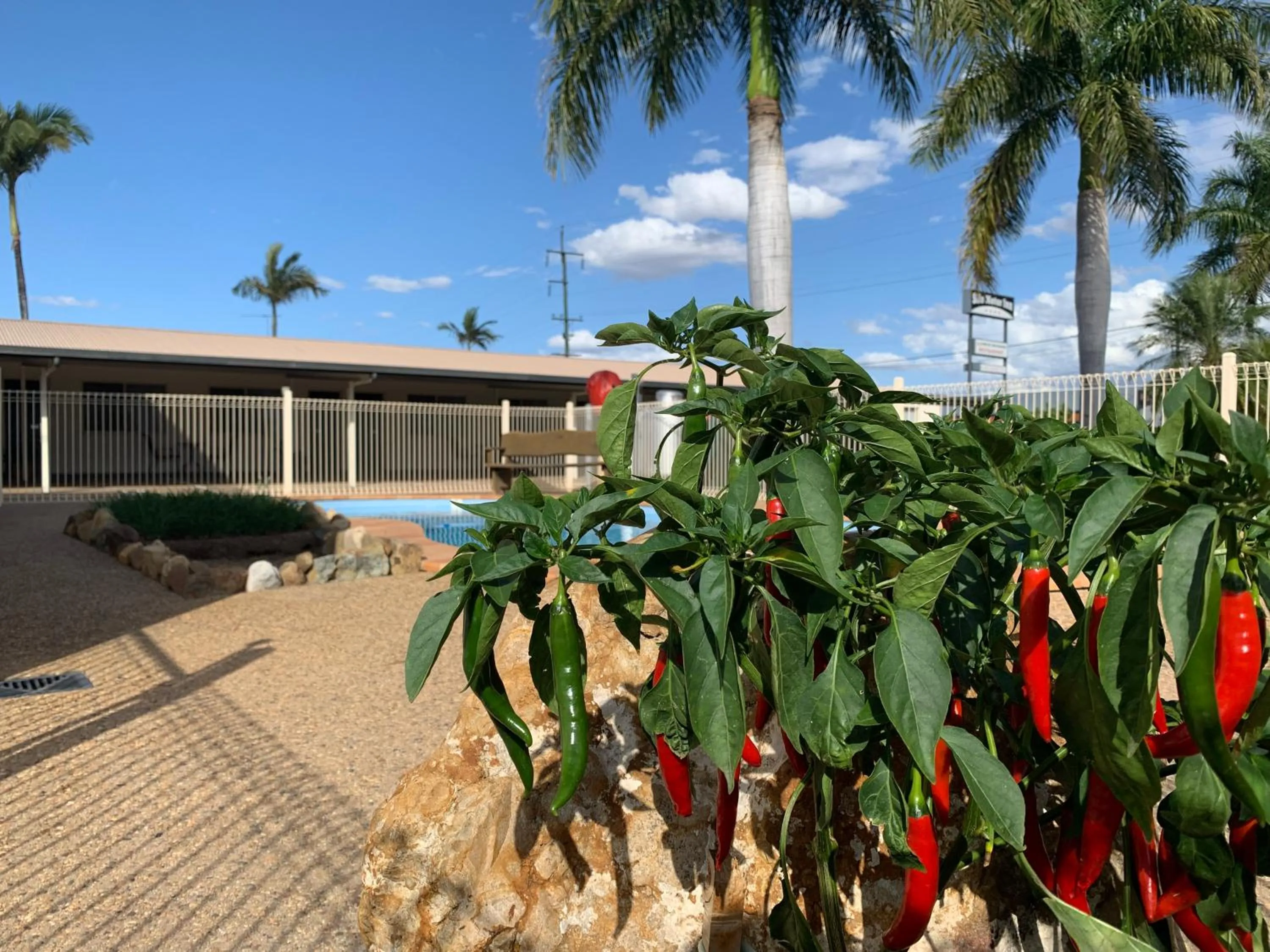 Swimming pool in Silo Motor Inn Biloela