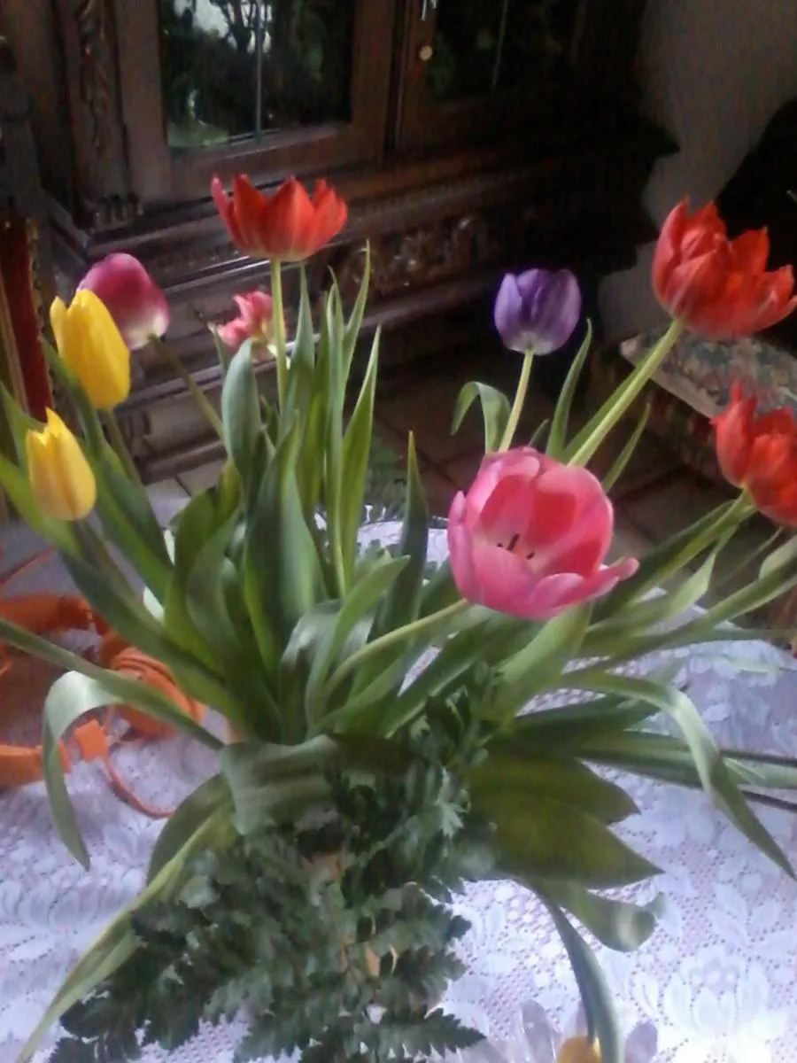 Spring in chambre chez sylvie