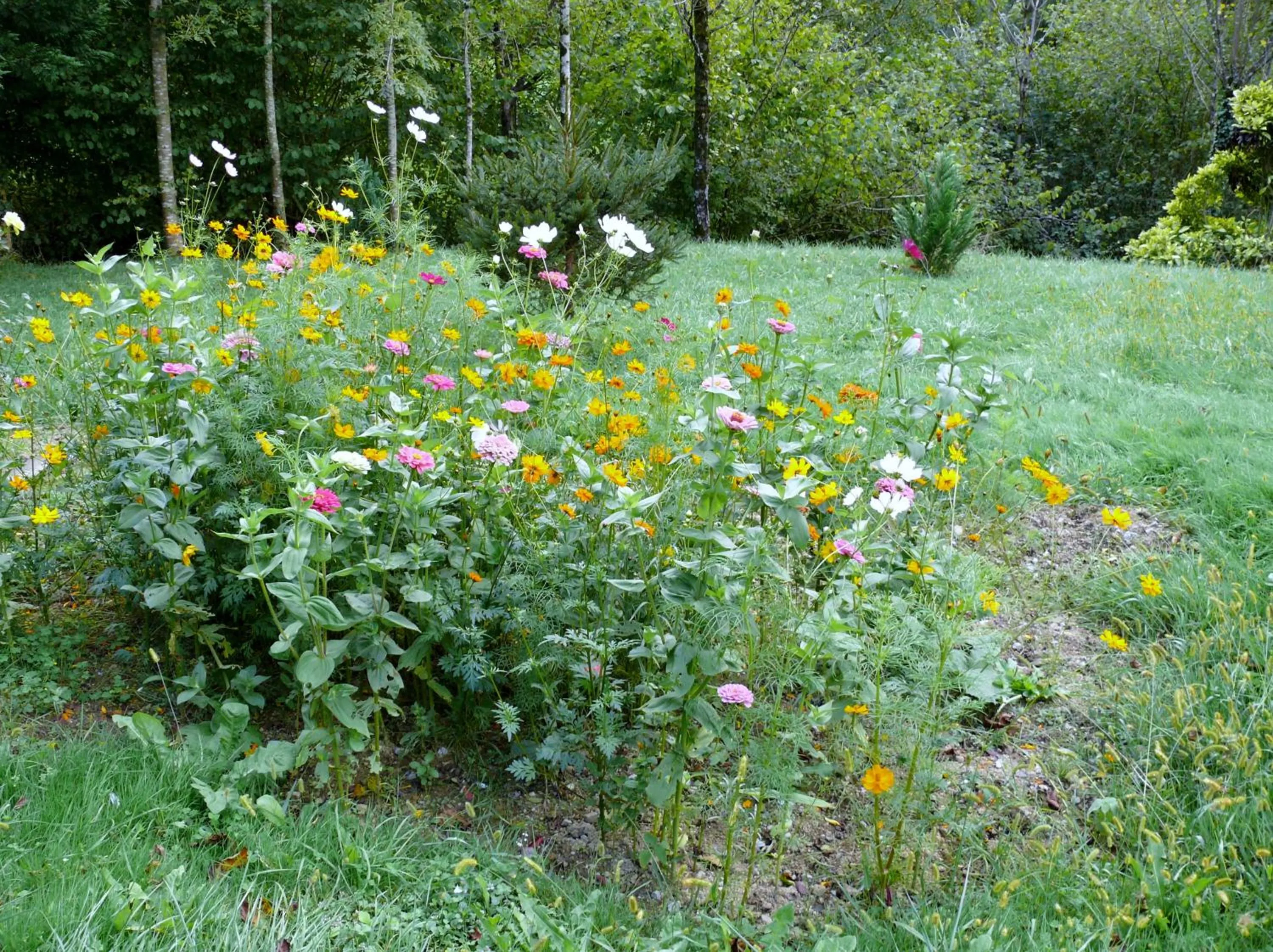 Garden in chambre chez sylvie