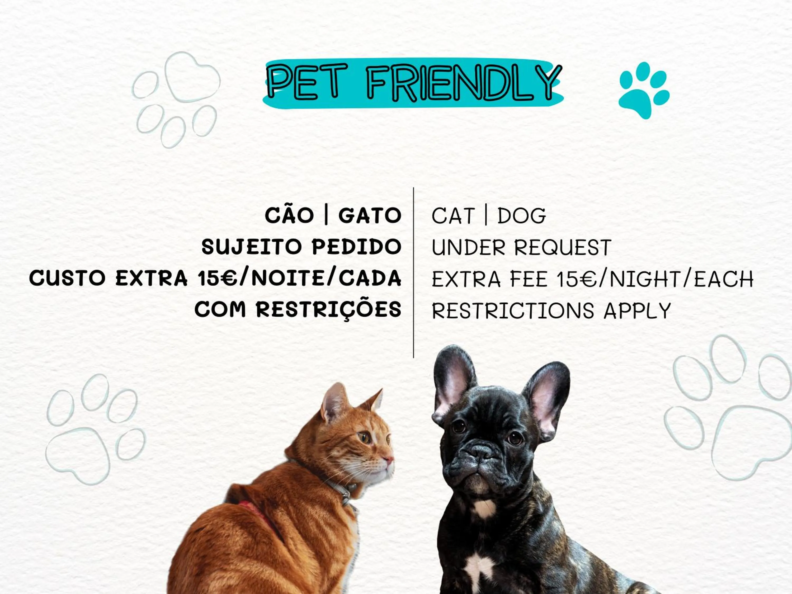 Animals in Hotel D. Luis - Elvas