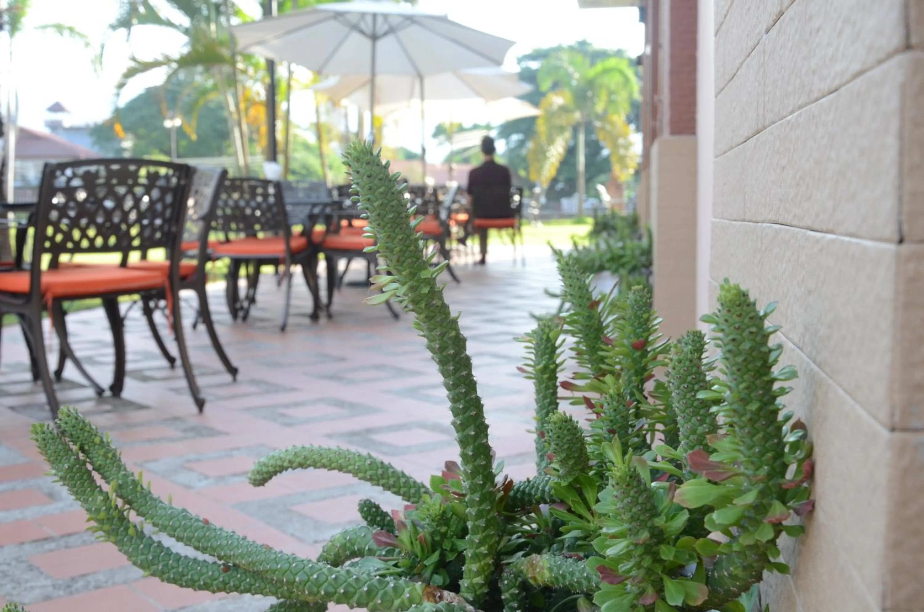 Restaurant/places to eat in Saksiri Riverside Boutique Hotel