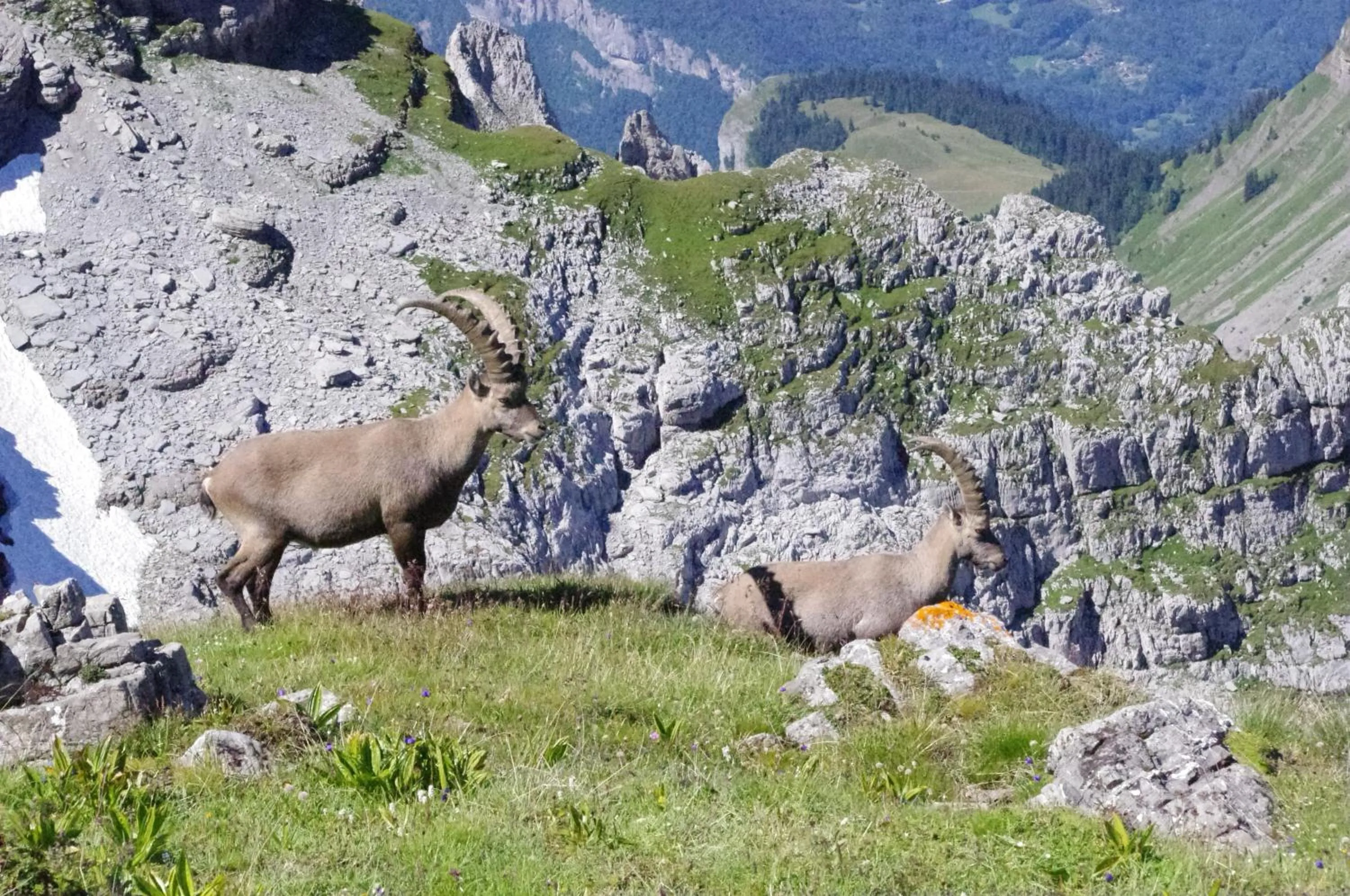 Hiking in Village De Vacances Les Flocons Verts