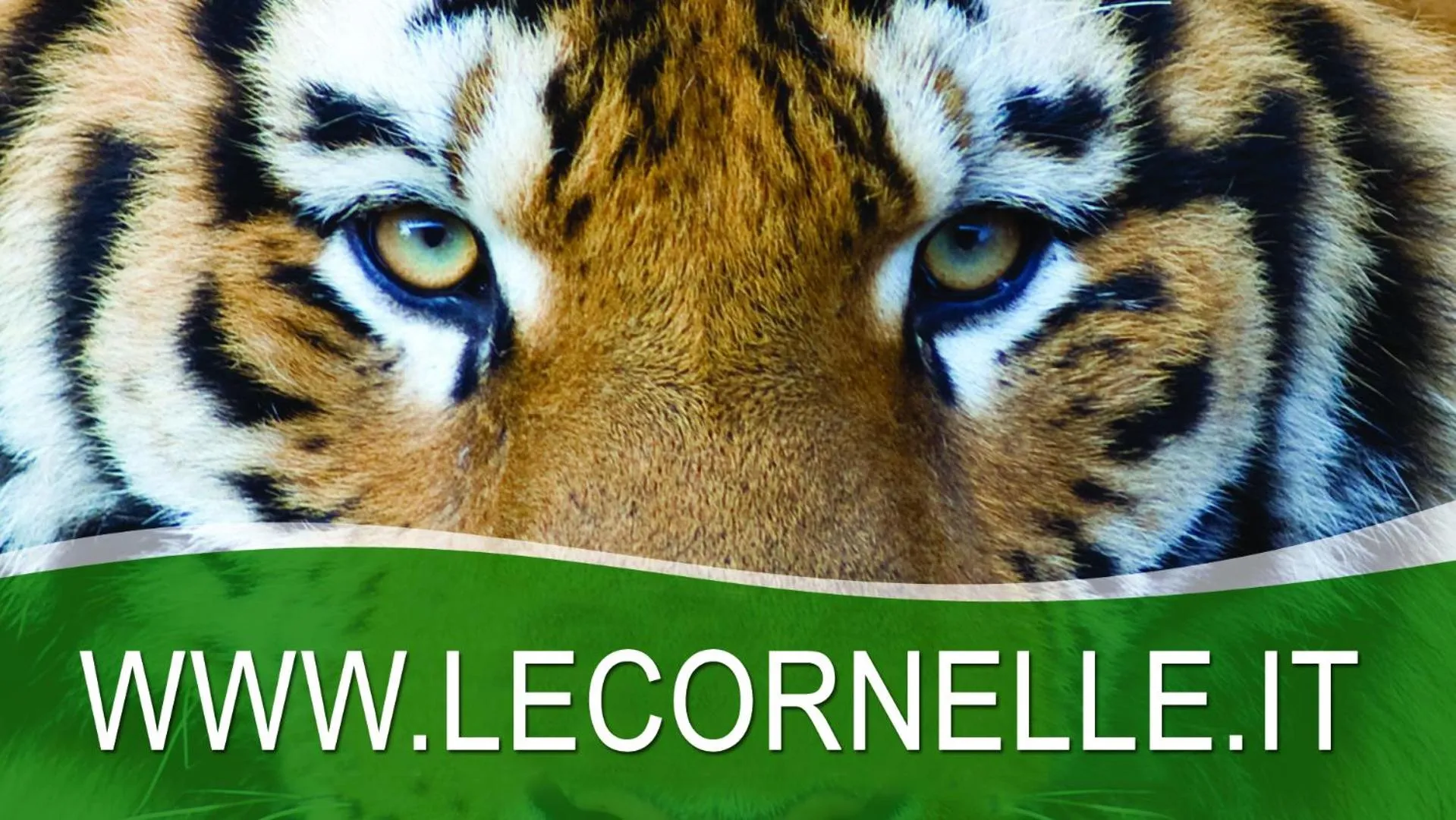 Animals in B&B PONTEVECCHIO