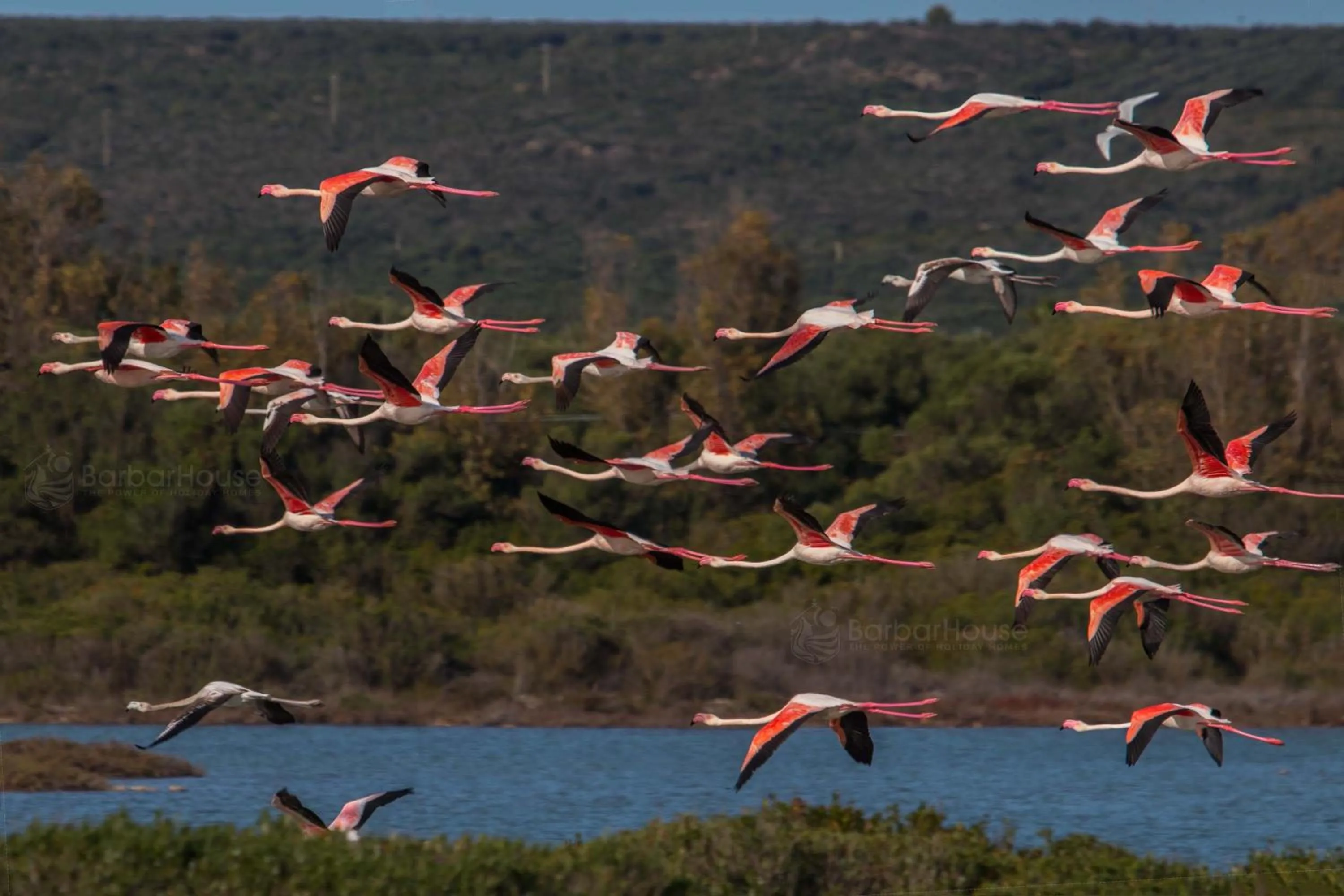 Other in Residence La Scogliera
