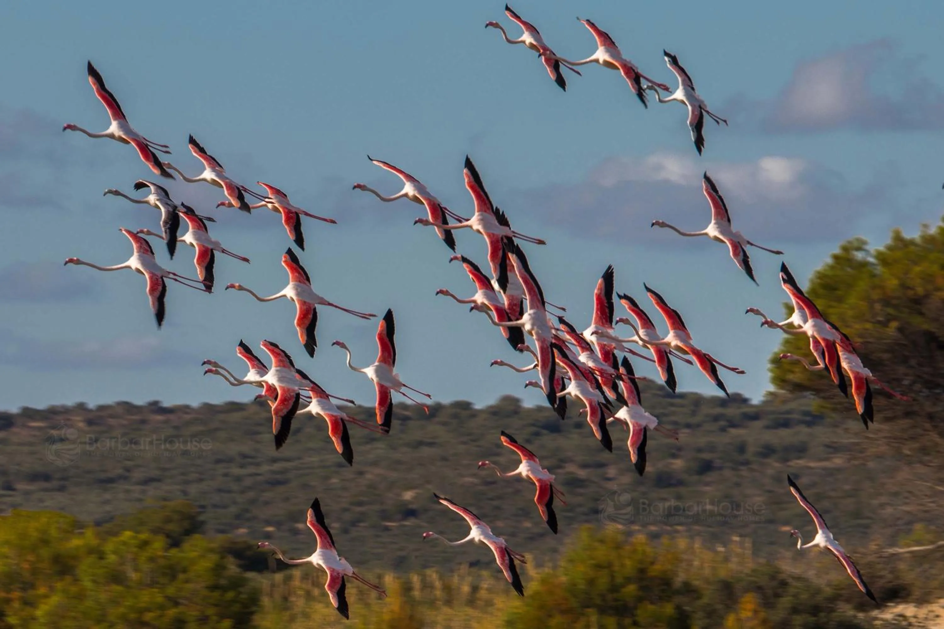 Other in Residence La Scogliera