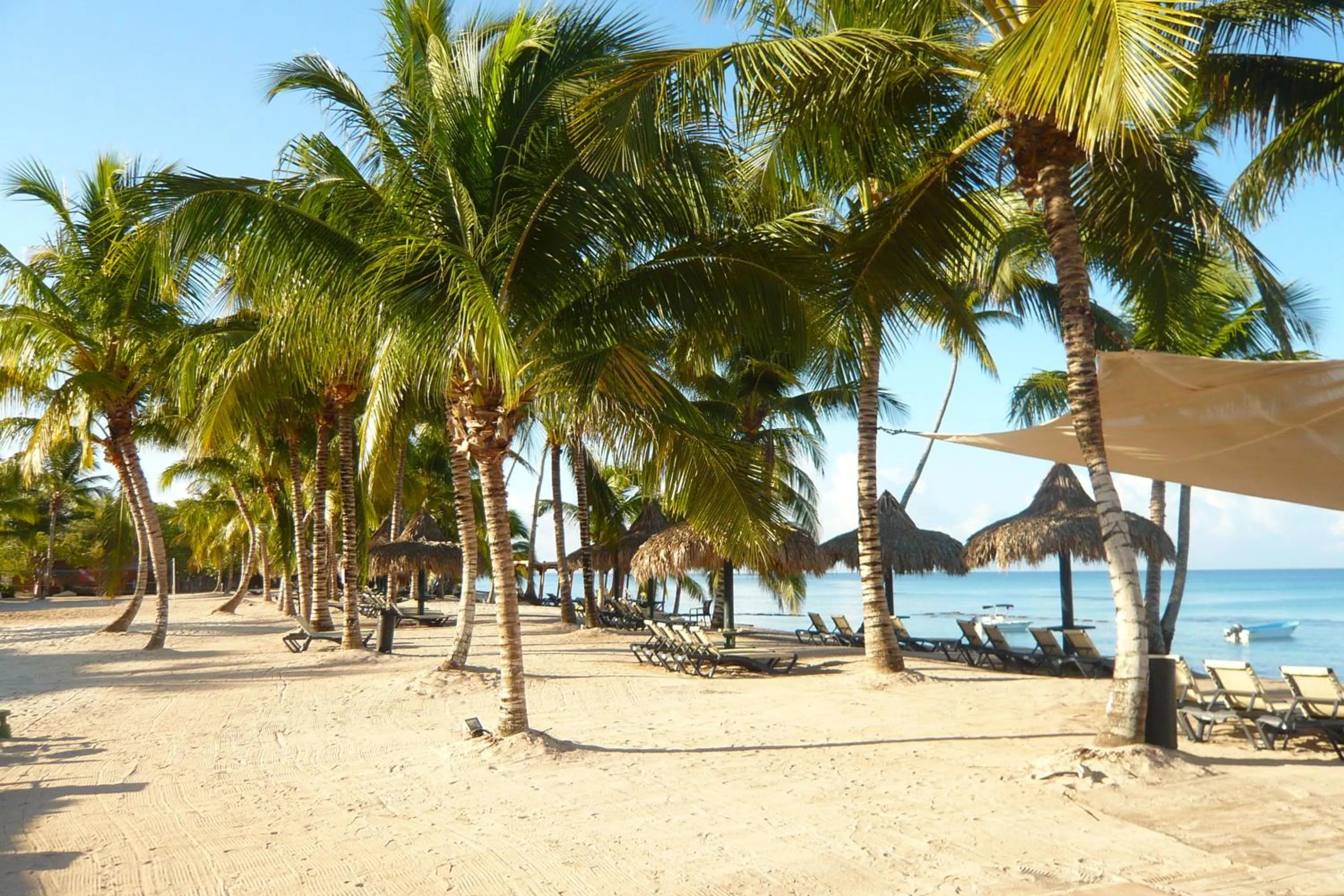 Property building in Pez 106