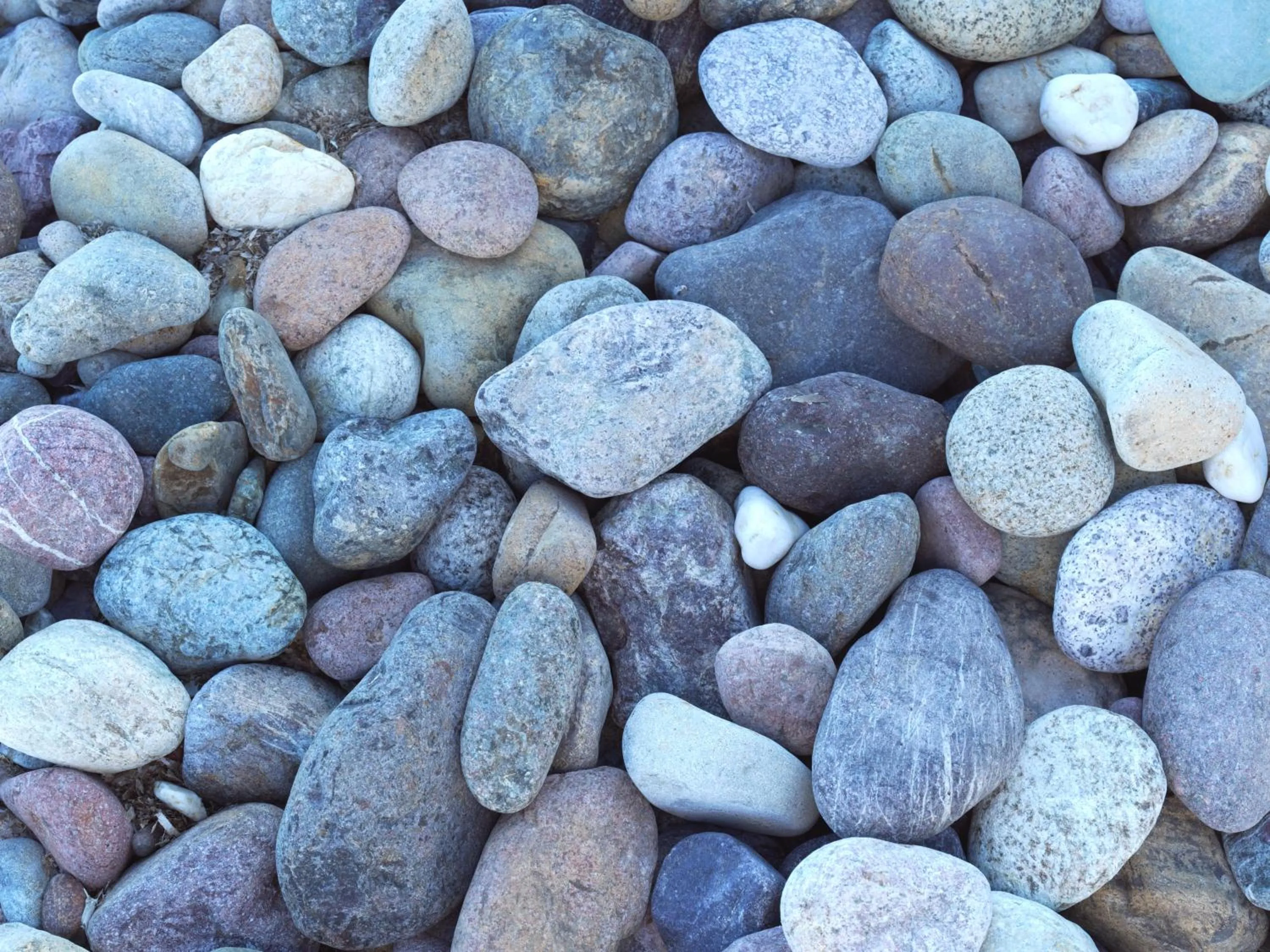 Beach in Hôtel Dolce Notte