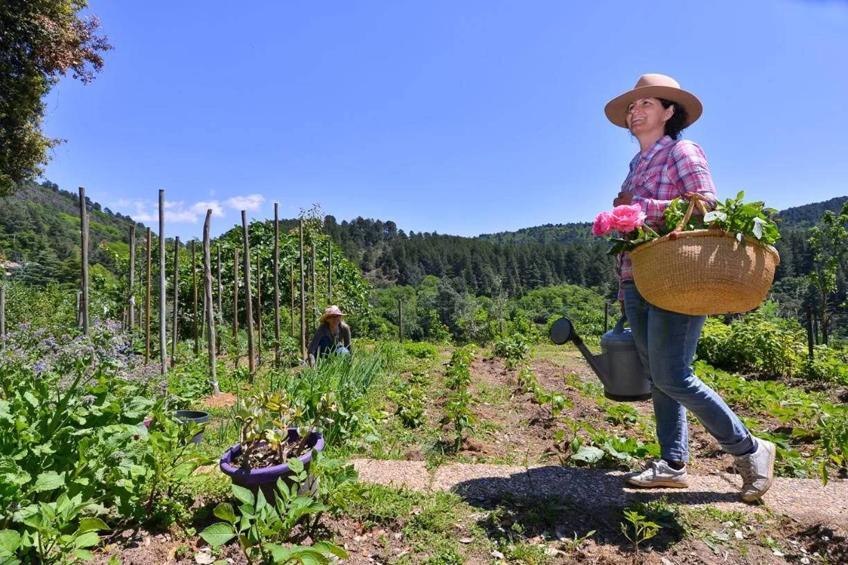 Garden in Logis Hôtel Restaurant Le Chêne Vert