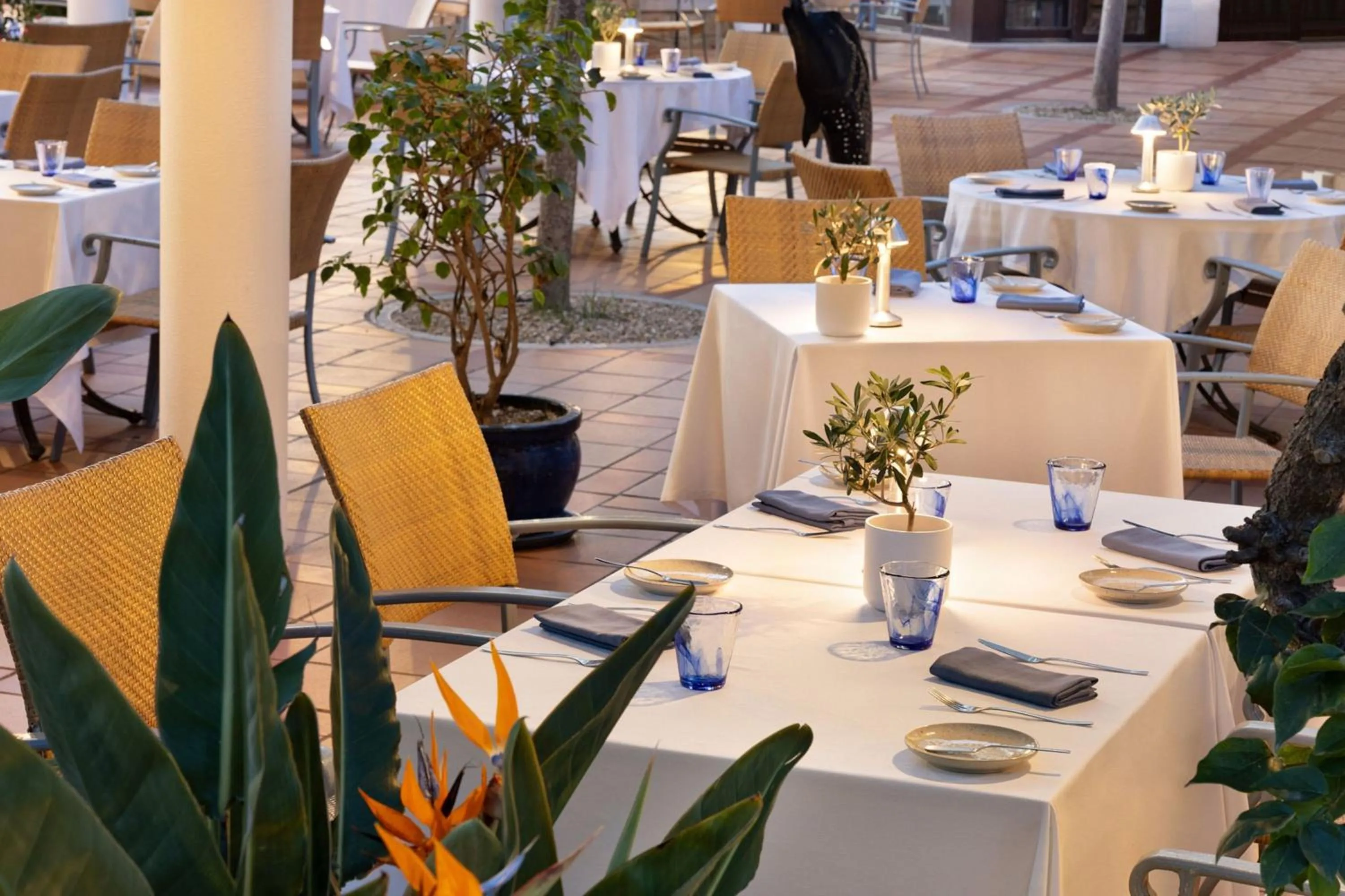 Restaurant/places to eat in Pine Cliffs Residence, a Luxury Collection Resort, Algarve