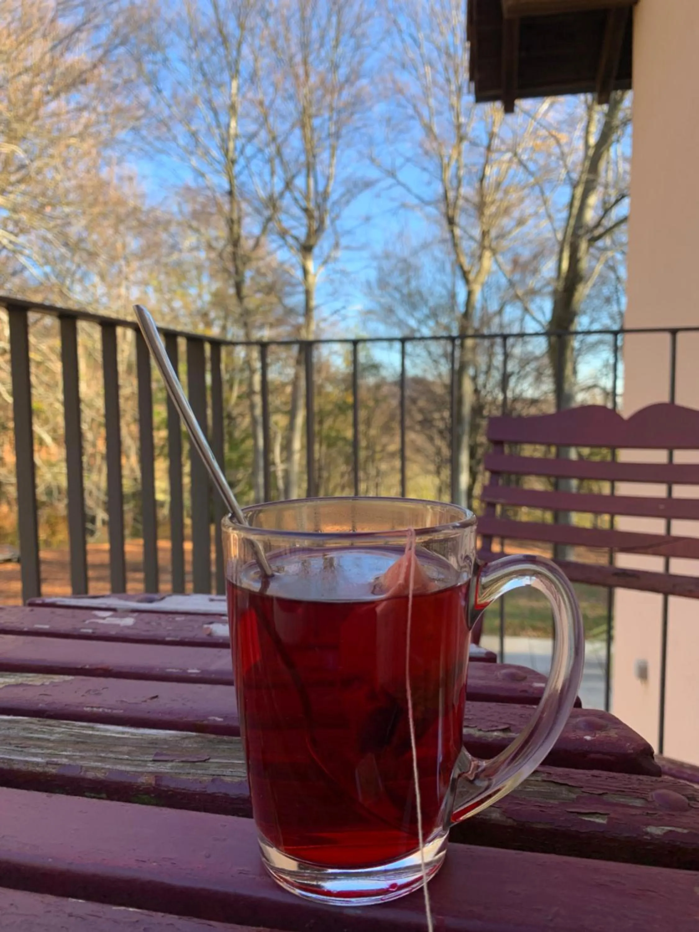 Drinks in MOUNTAIN HOTEL Osteria di MONTAGNA La Peonia Monte Generoso
