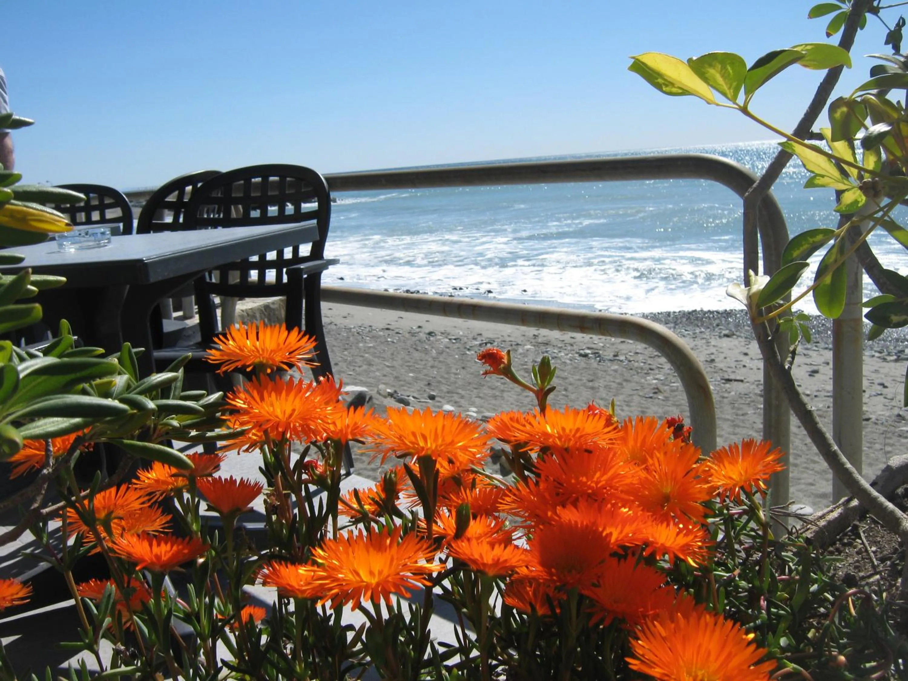Balcony/Terrace in Hotel Bianca Maria