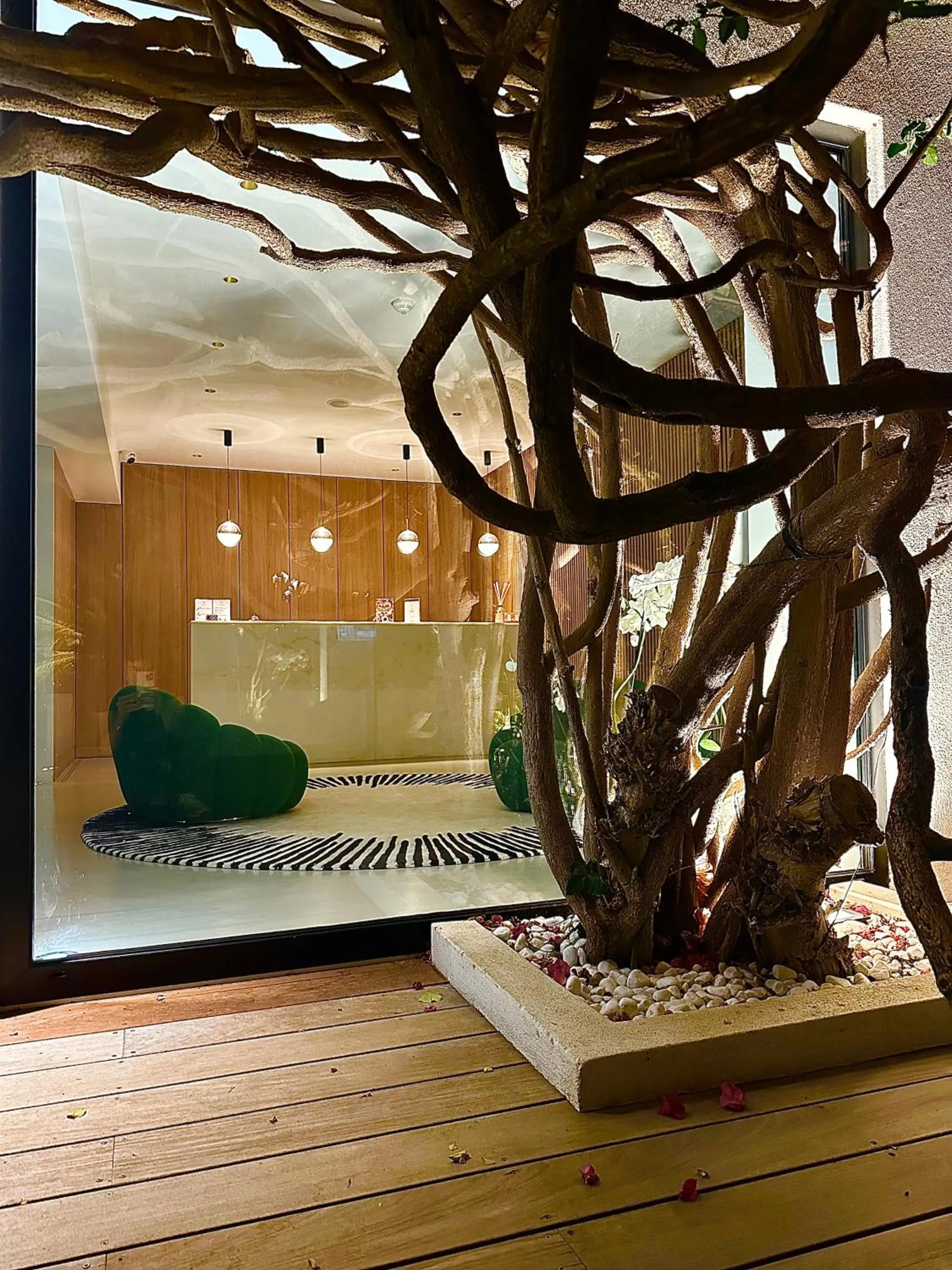 Lobby or reception in Hôtel Le Mistral