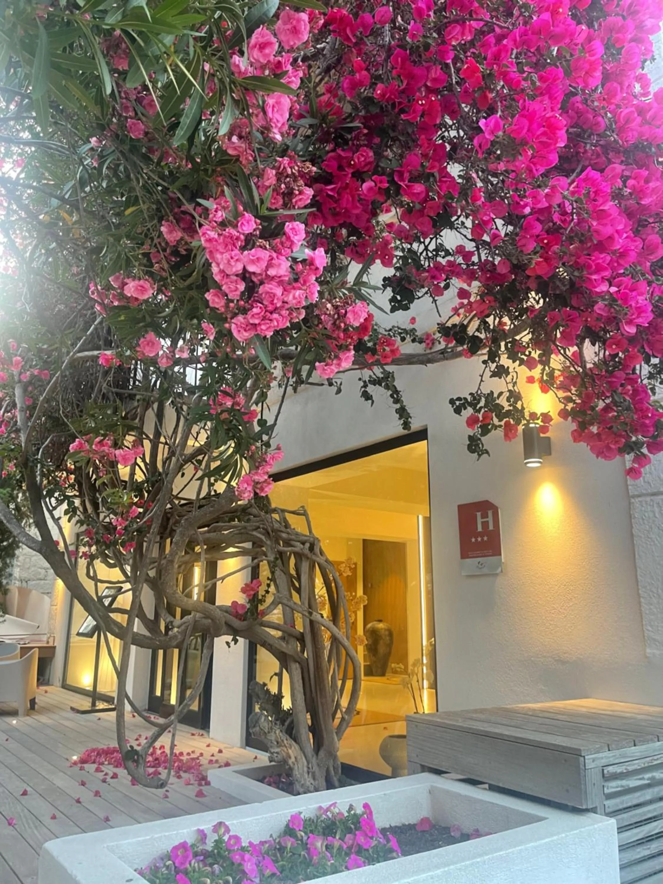 Facade/entrance in Hôtel Le Mistral