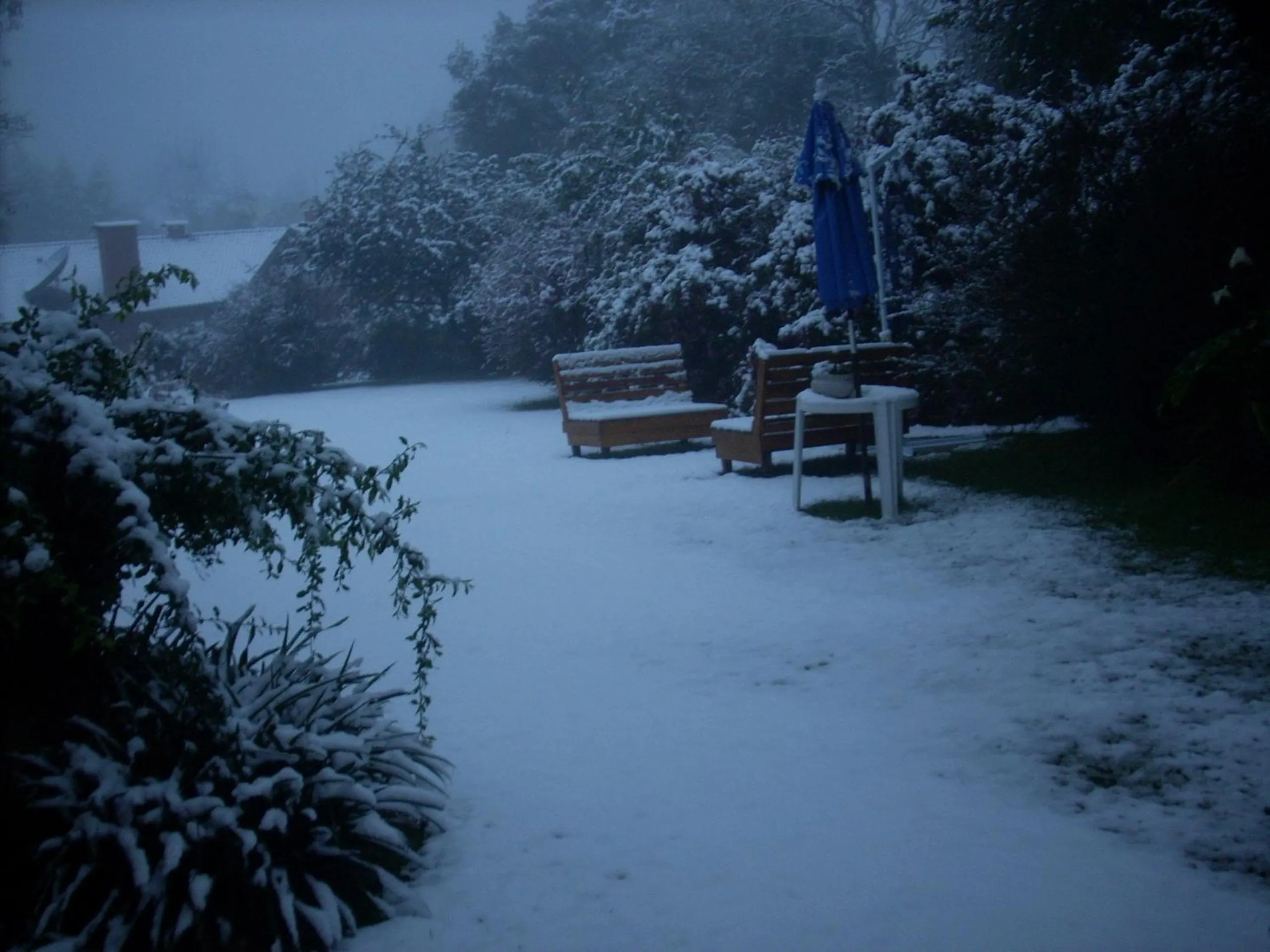 Garden in Pousada Betânia