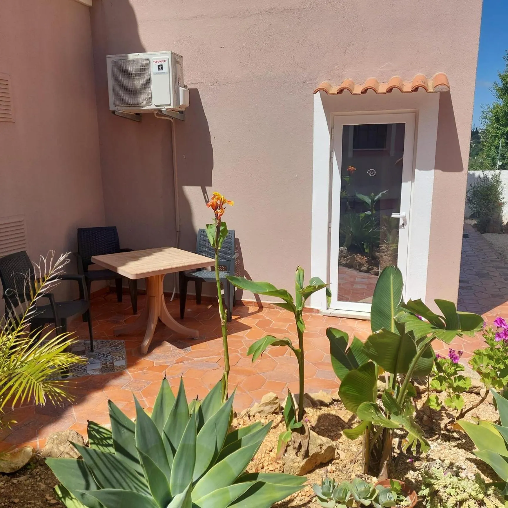 Garden in Casa Rosa Montes