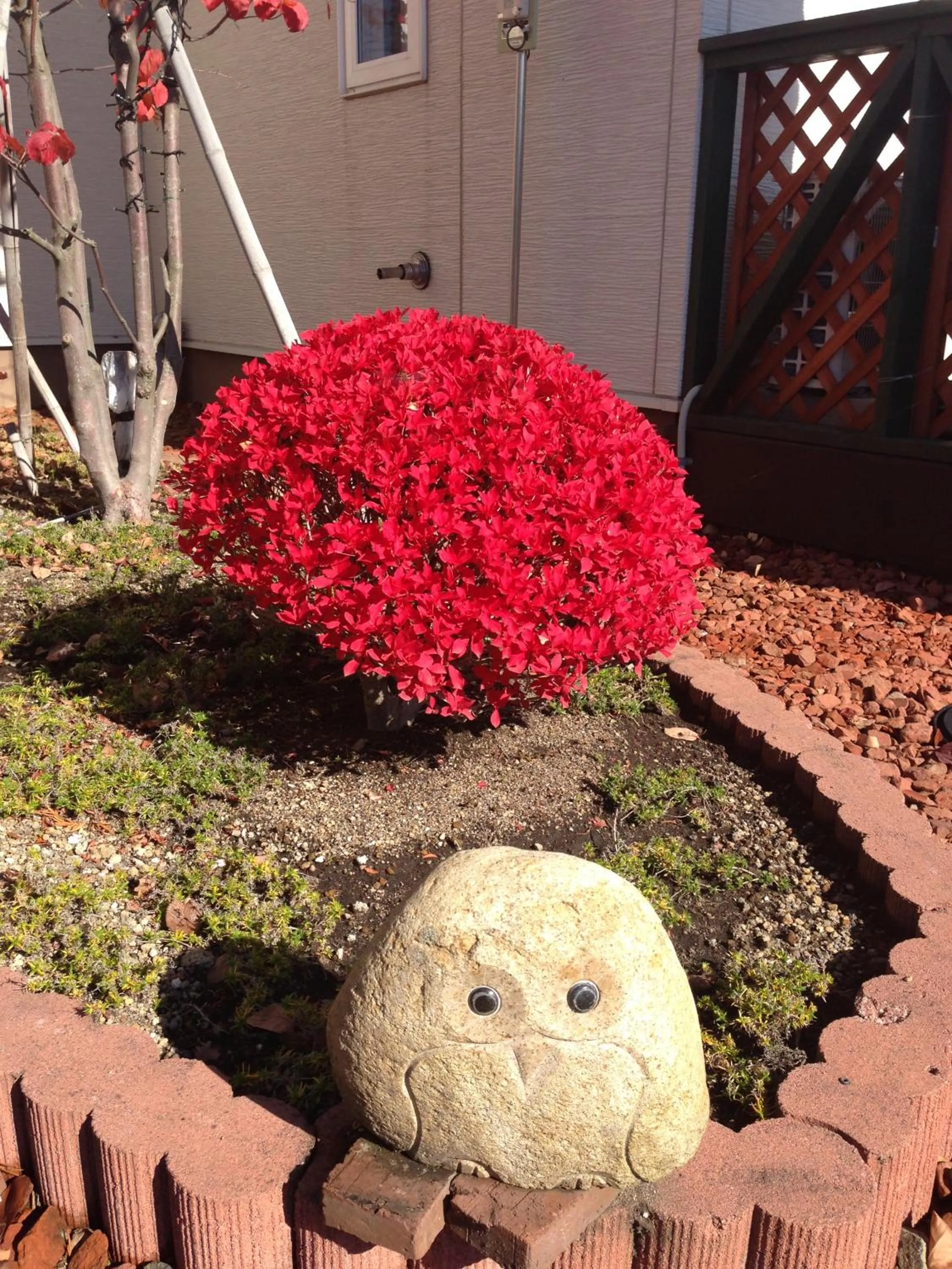 Garden in Petit Hotel Blaneneige