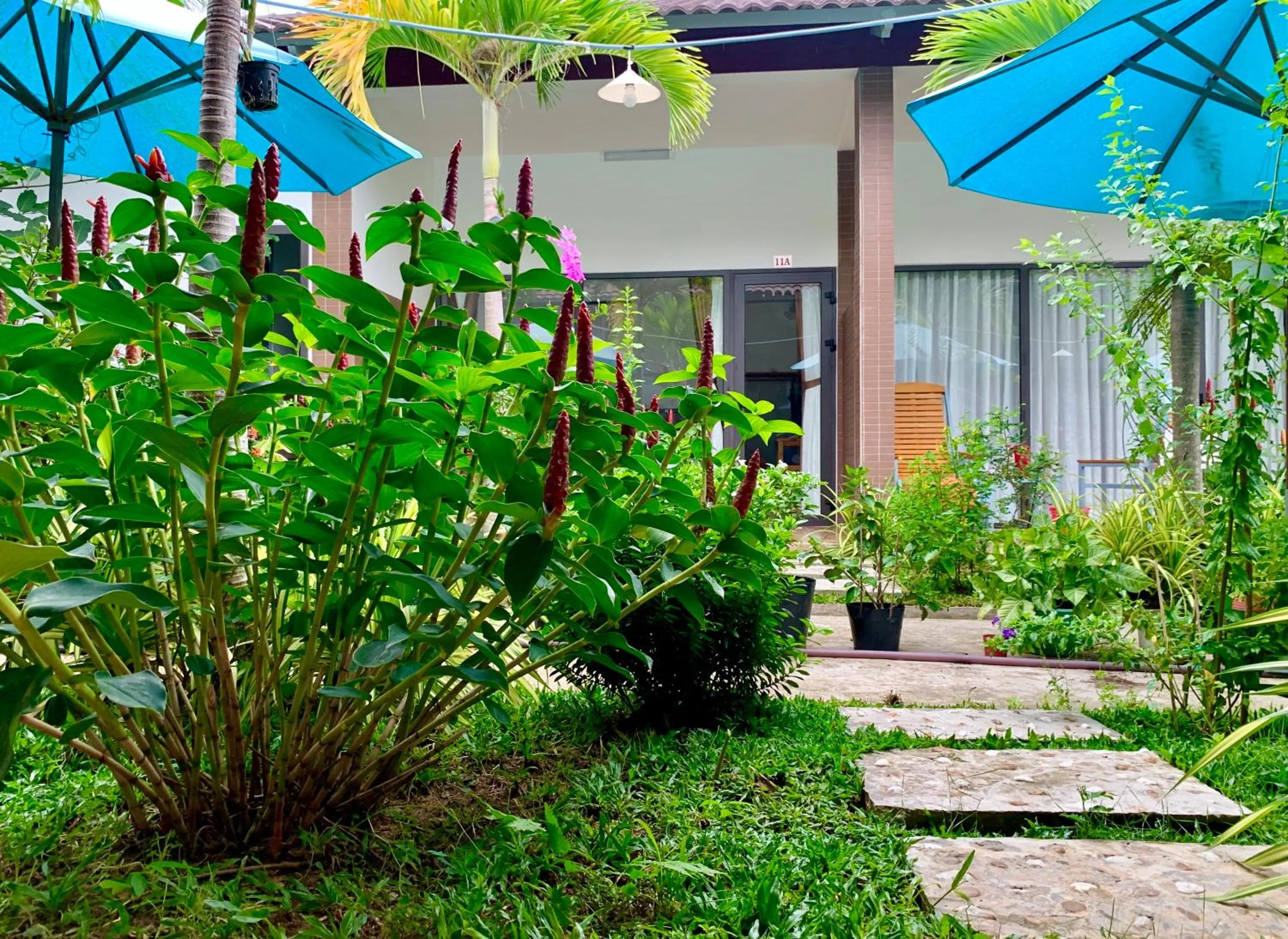 Garden view in Canary Bungalow