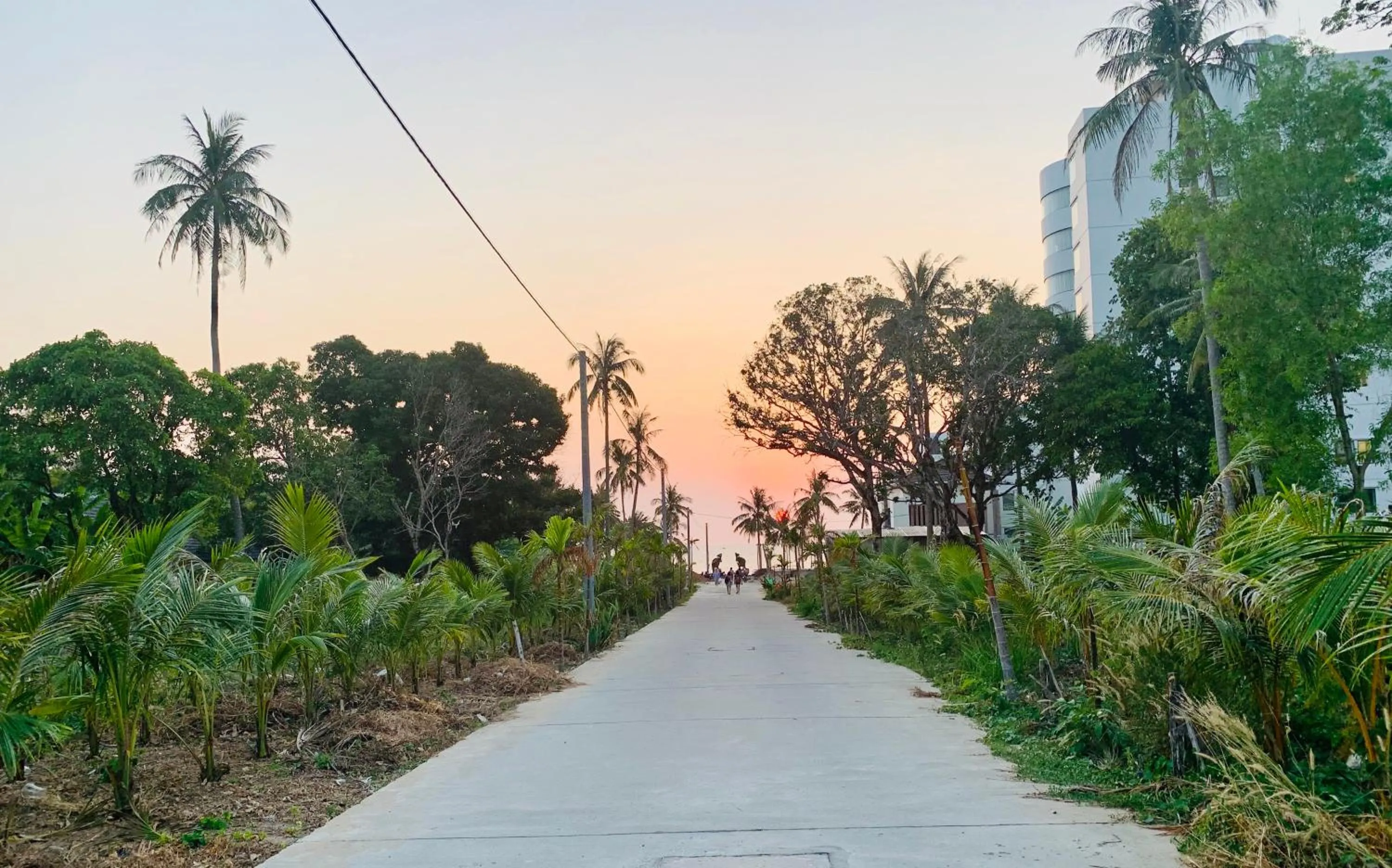 Sunset in Canary Bungalow