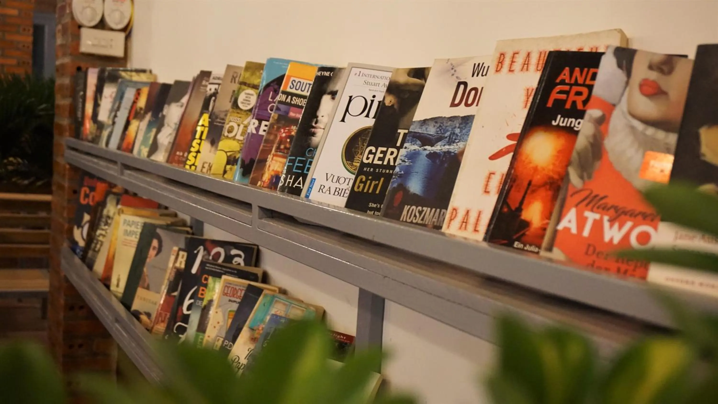 Library in Canary Bungalow