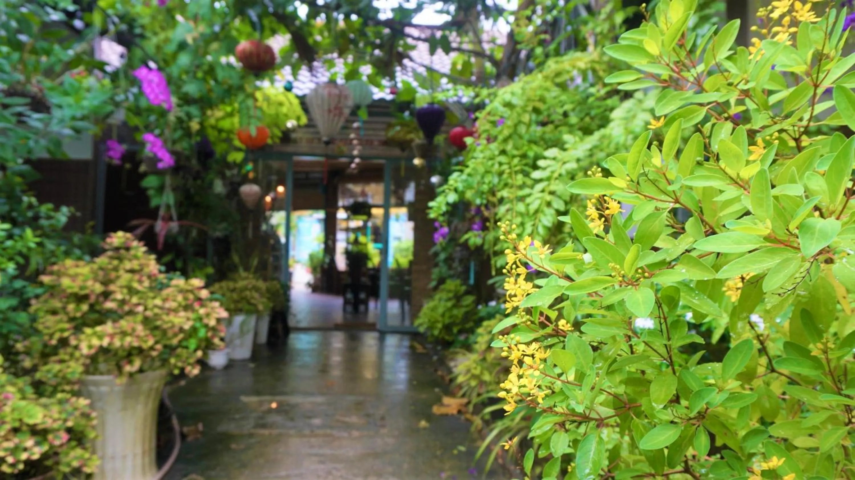 Facade/entrance in Canary Bungalow