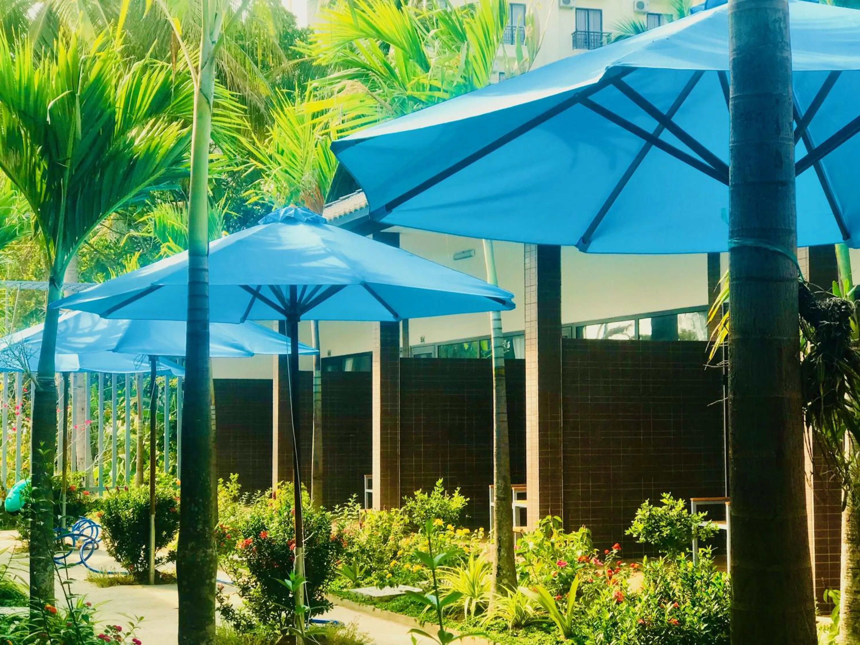 Garden in Canary Bungalow