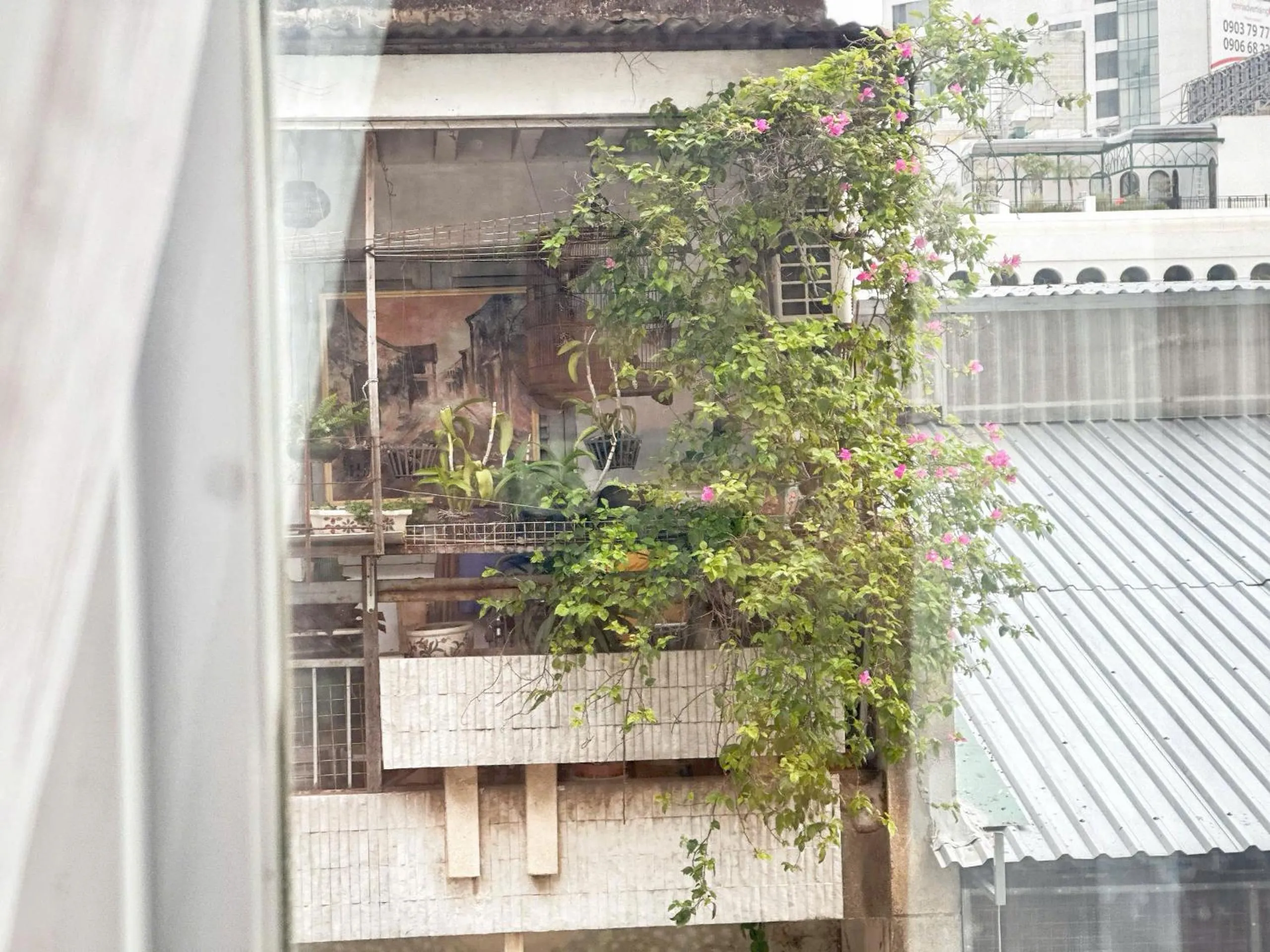 Garden in Vuong Tai Hotel