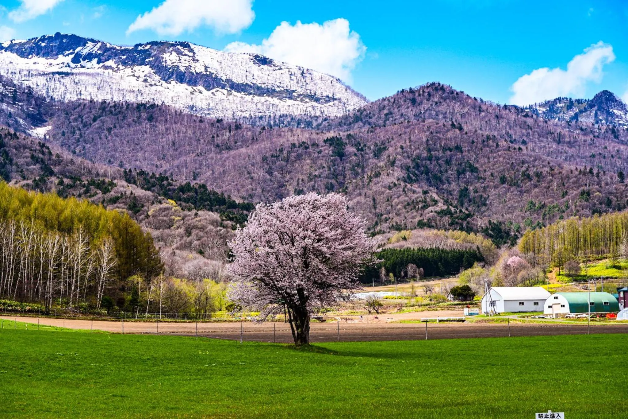 Nearby landmark in Hotel Naturwald Furano