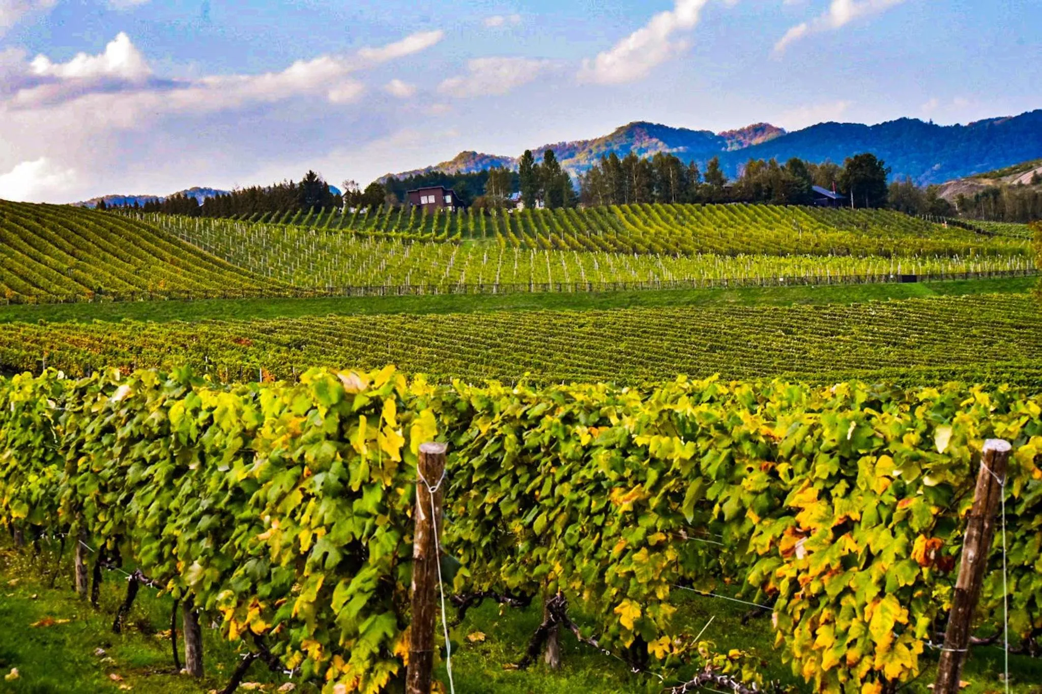 Natural landscape in Hotel Naturwald Furano