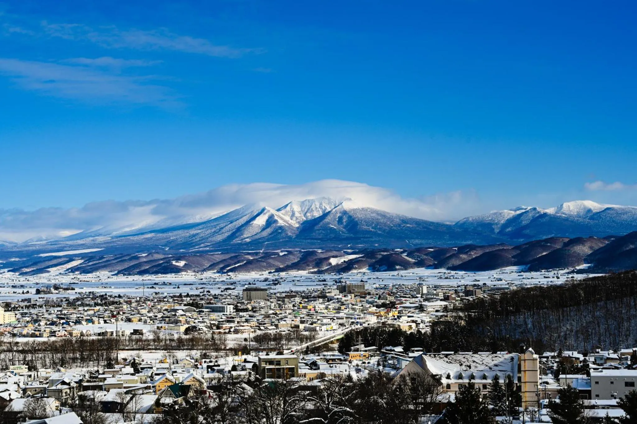 Balcony/Terrace in Hotel Naturwald Furano