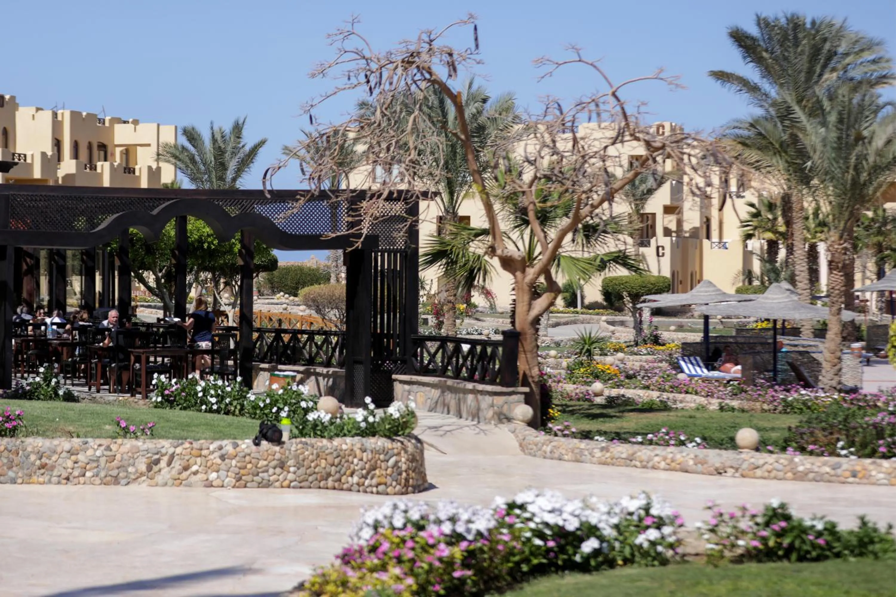Restaurant/places to eat in Blend Elphistone Resort Marsa Alam