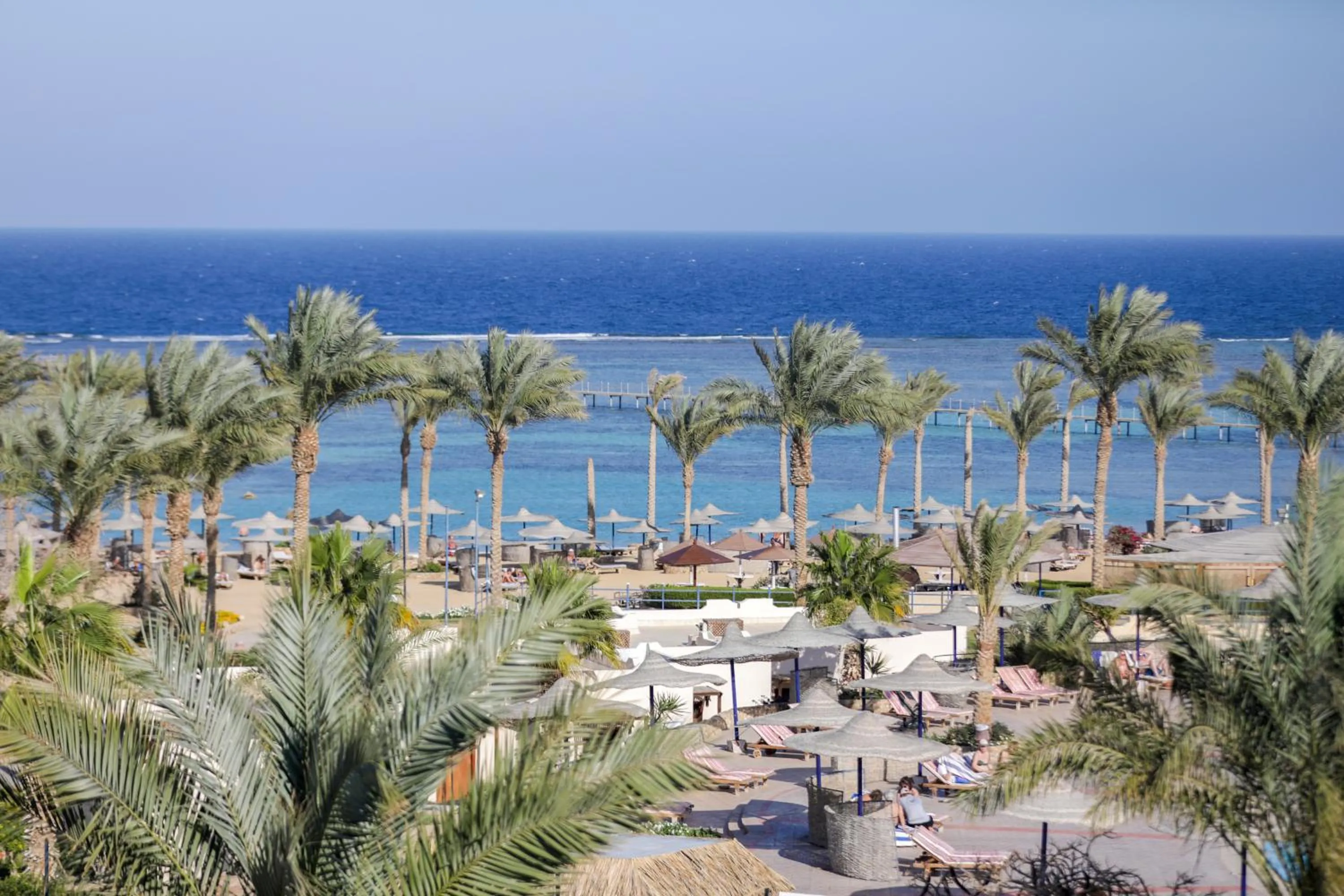 Beach in Blend Elphistone Resort Marsa Alam