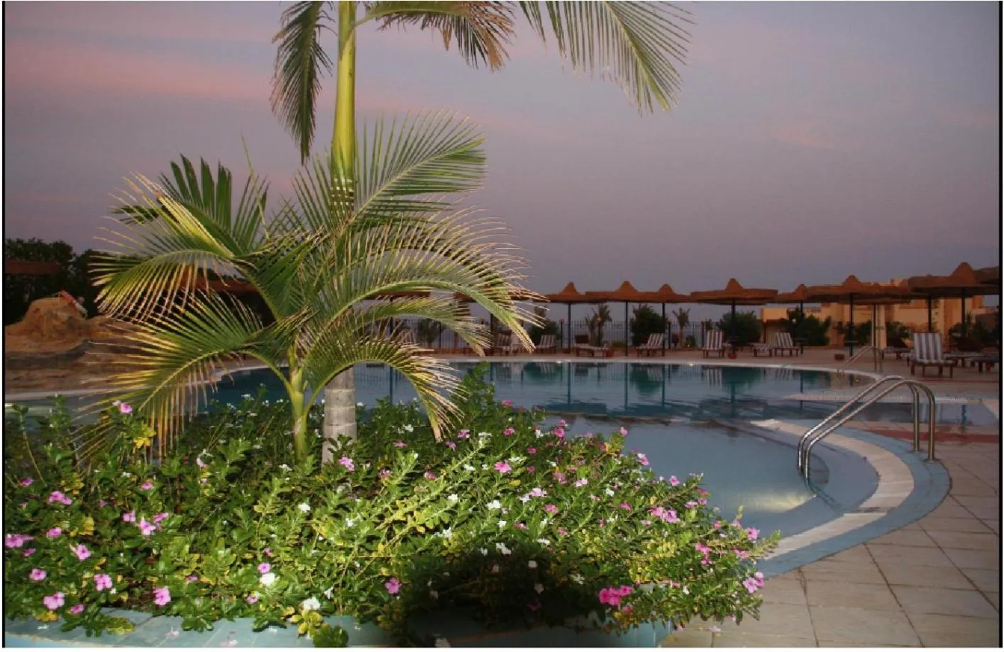 Pool view in Blend Elphistone Resort Marsa Alam