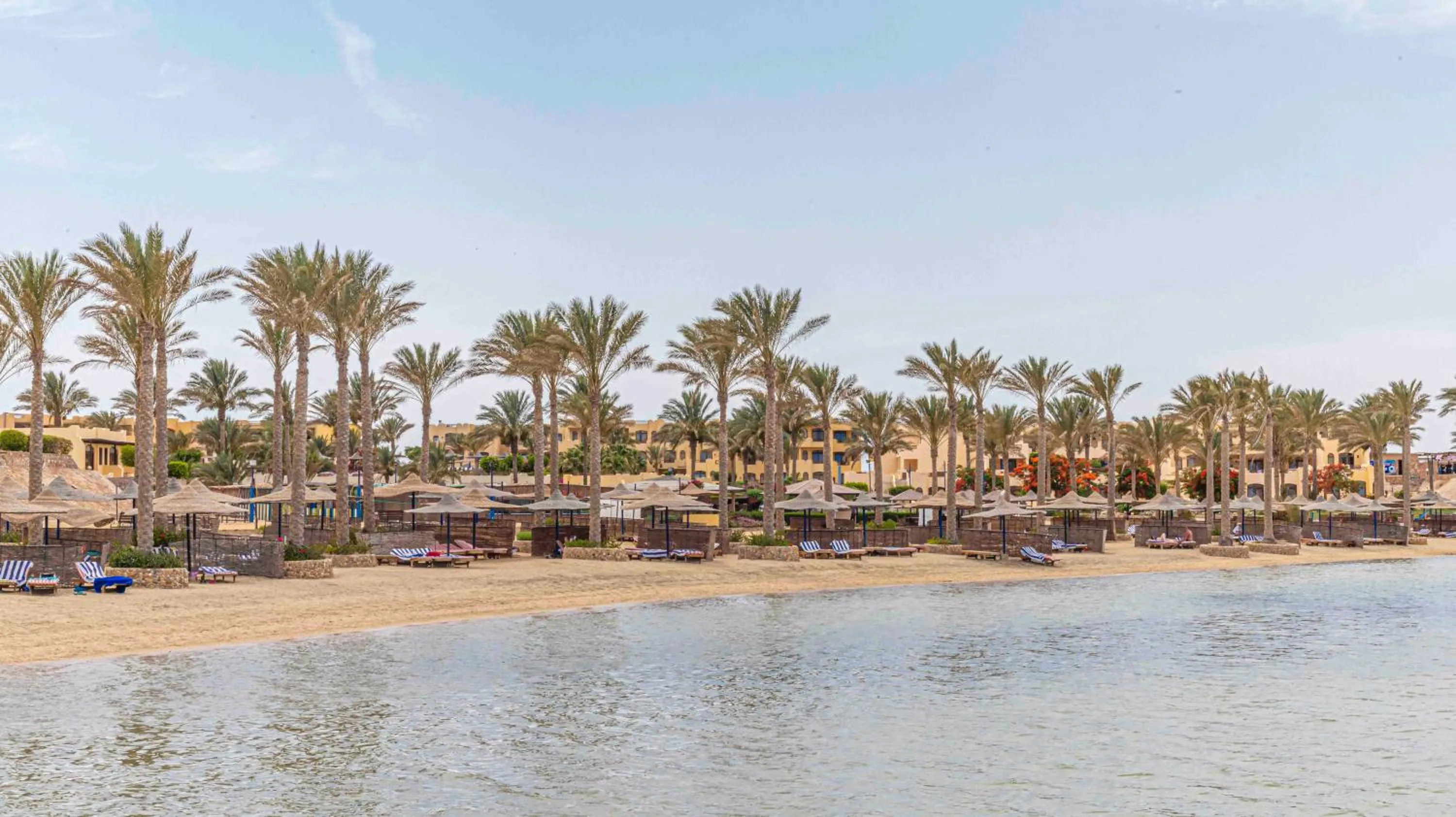 Beach in Blend Elphistone Resort Marsa Alam