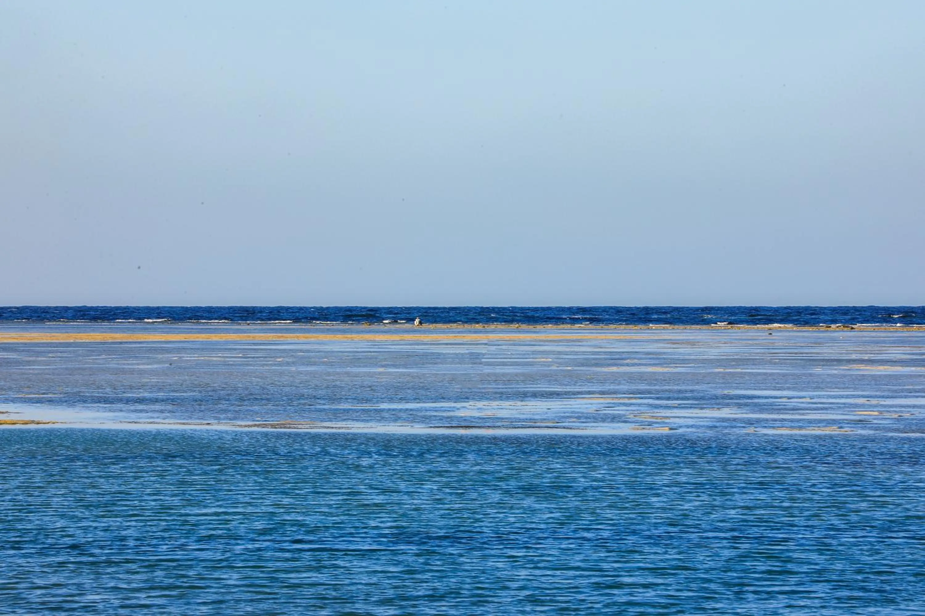 Beach in Blend Elphistone Resort Marsa Alam