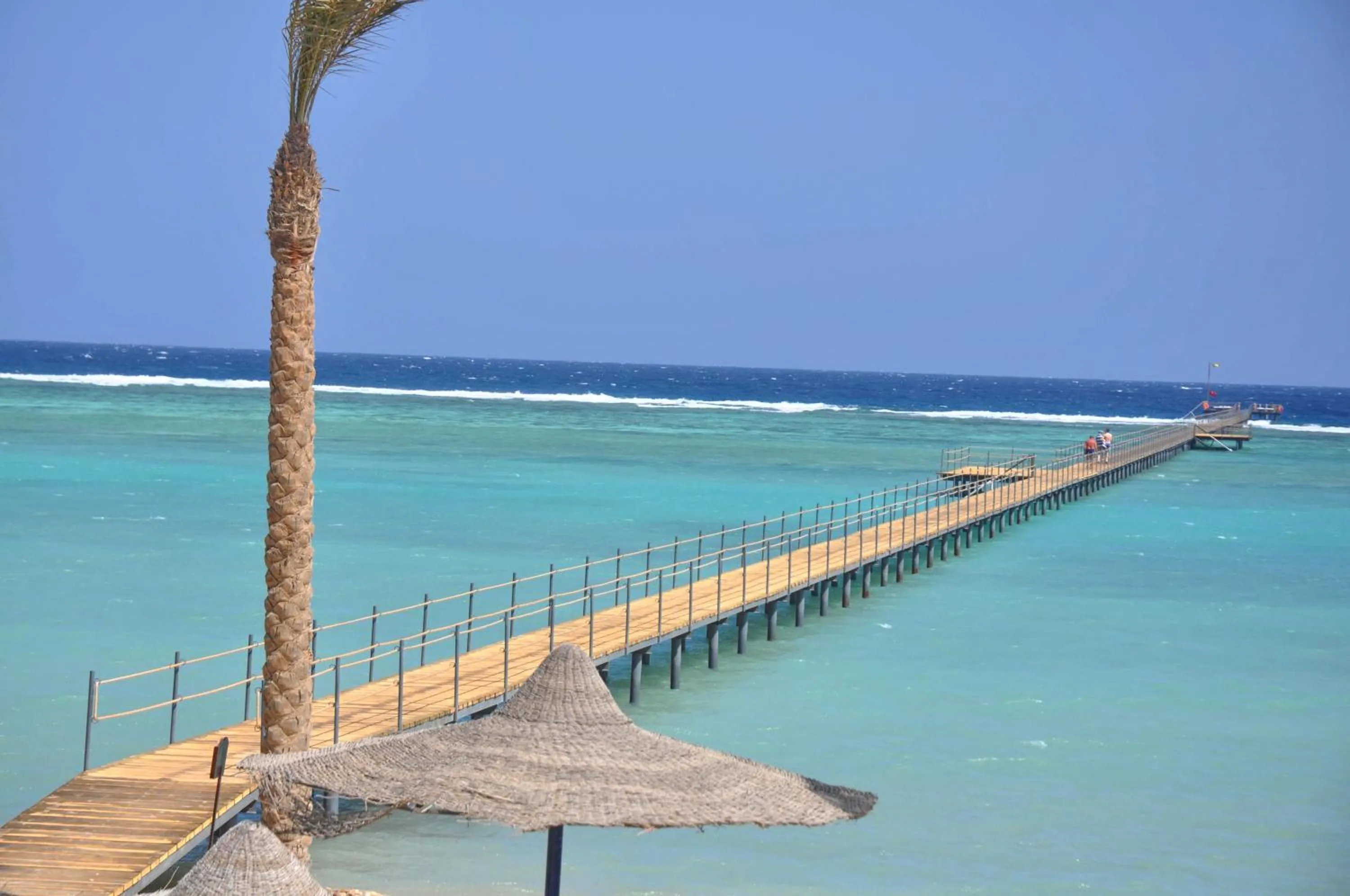 Beach in Blend Elphistone Resort Marsa Alam