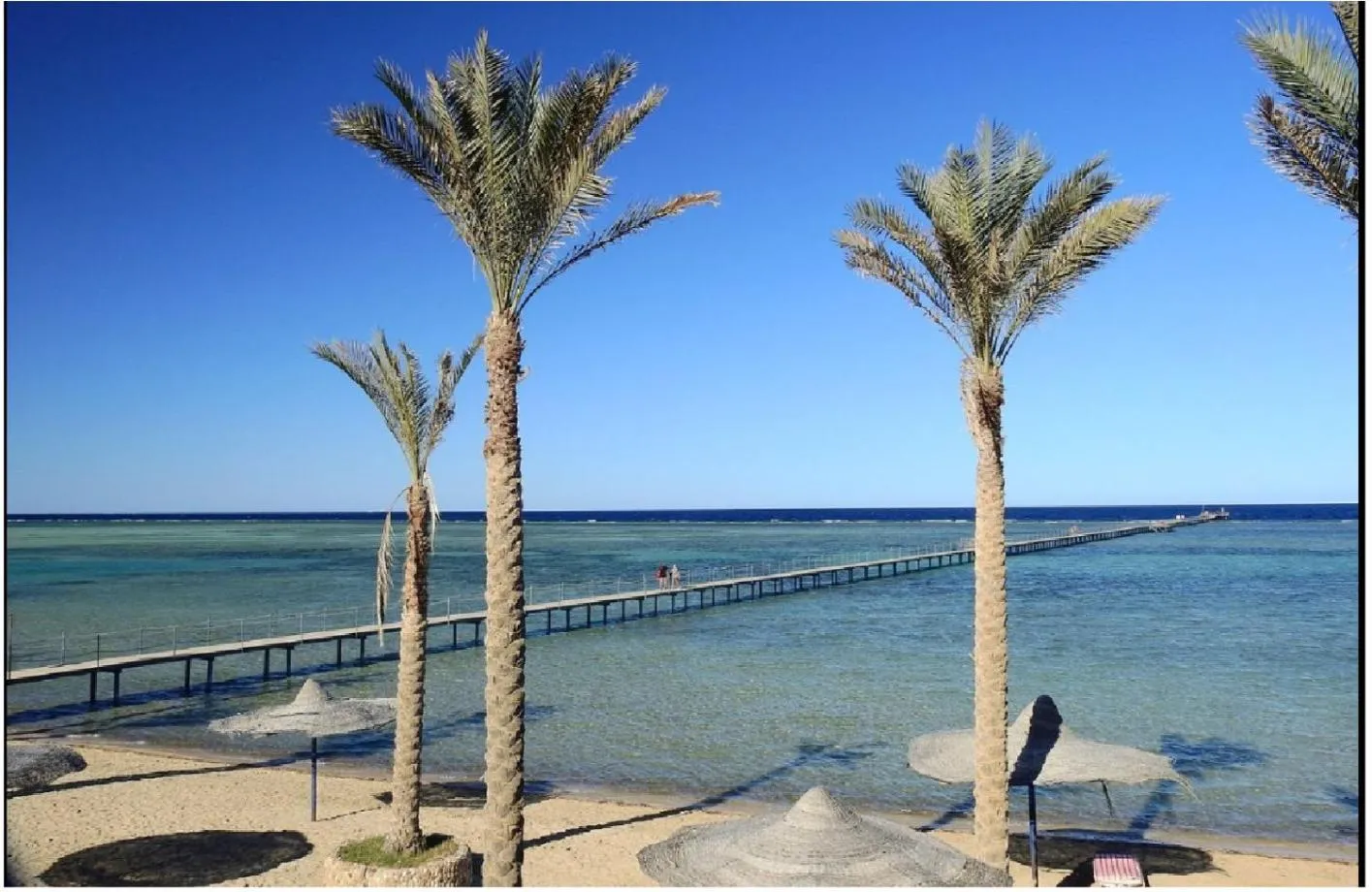 Beach in Blend Elphistone Resort Marsa Alam