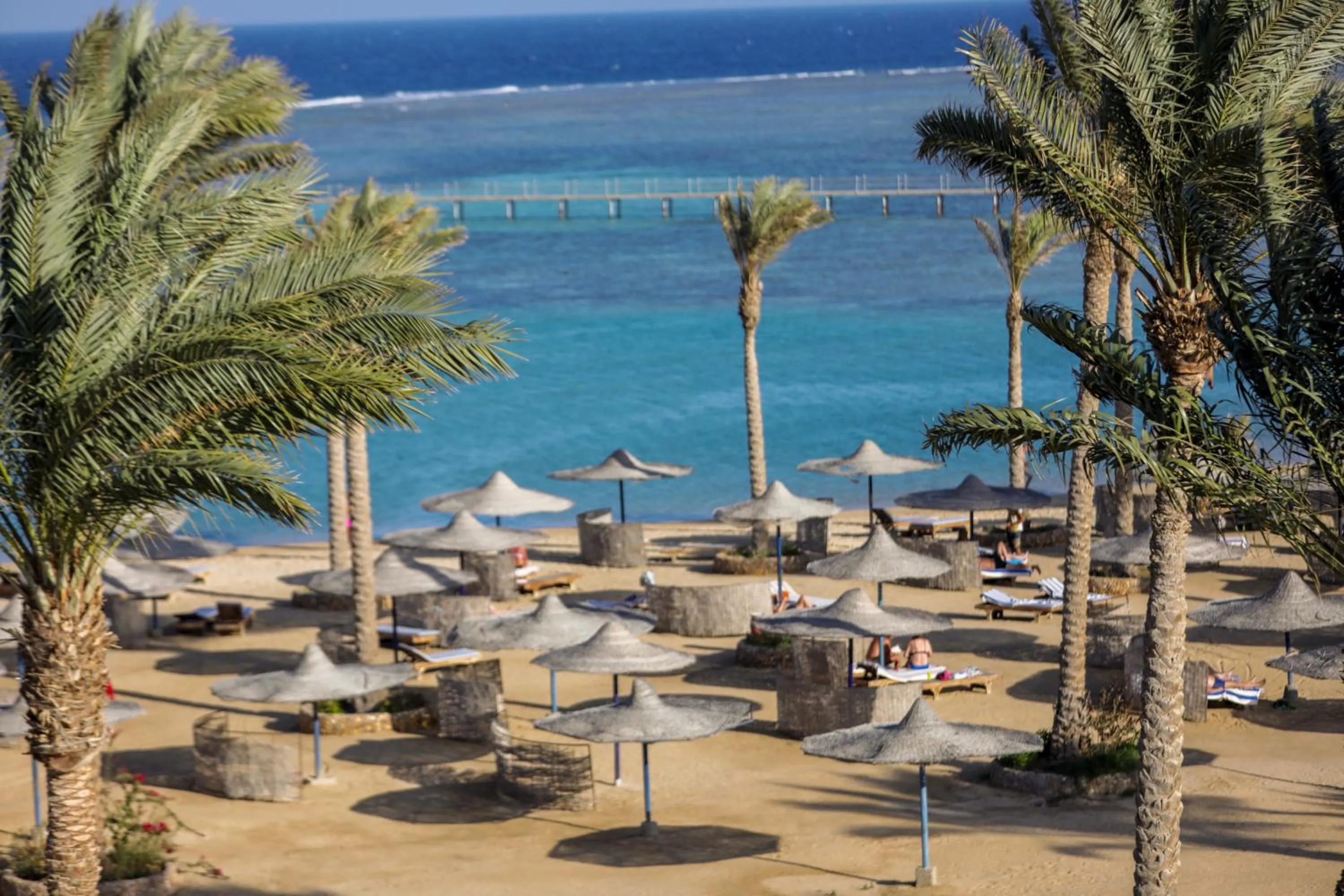 Beach in Blend Elphistone Resort Marsa Alam