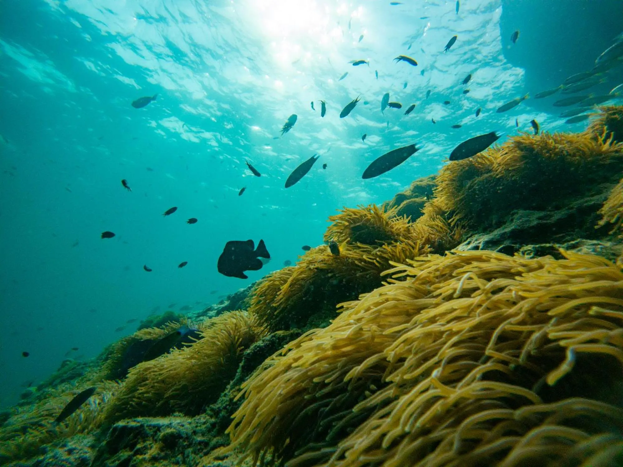 Natural landscape in Mayalay Resort-Green Hotel