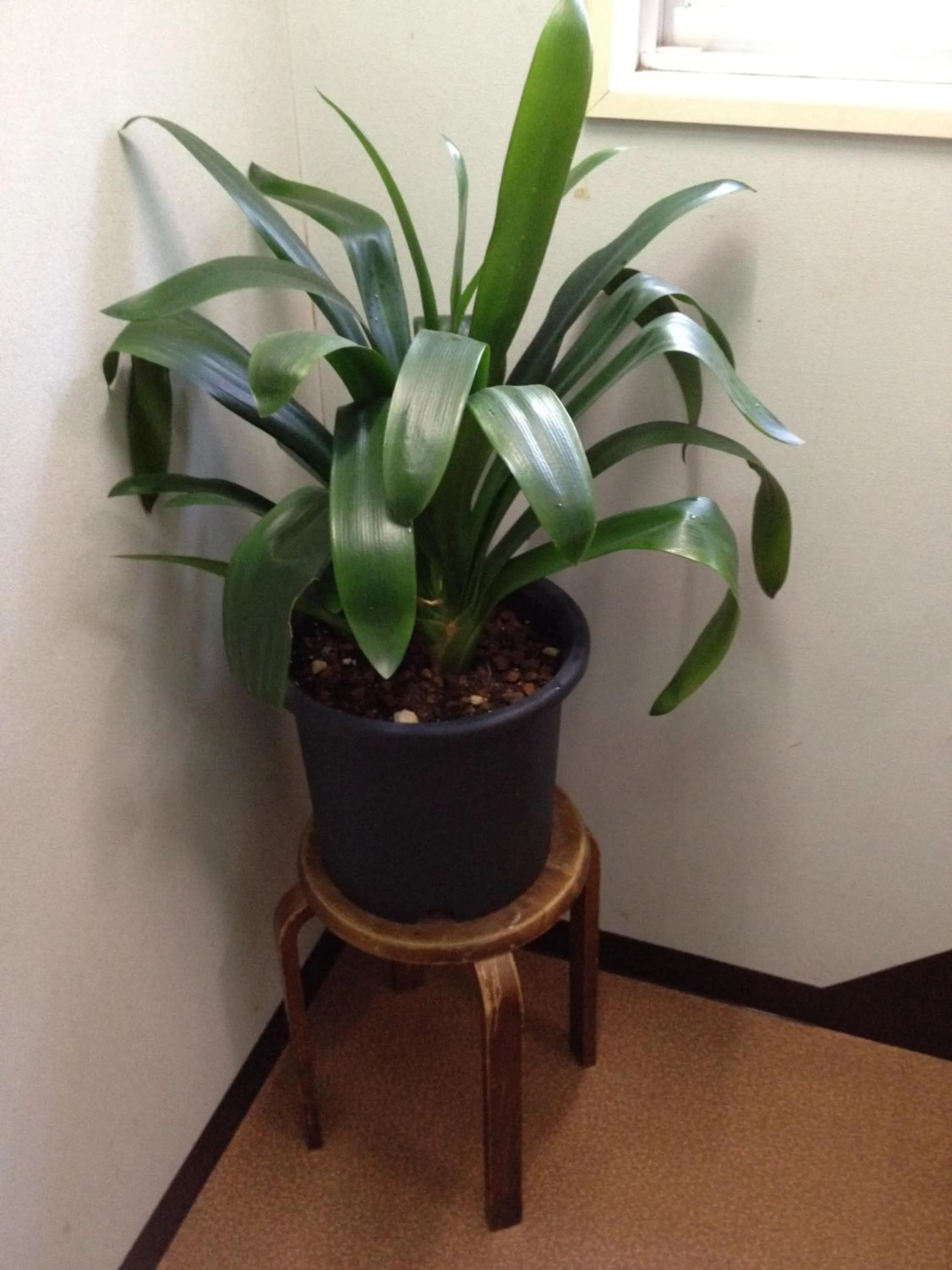 Other in Iroha Ryokan