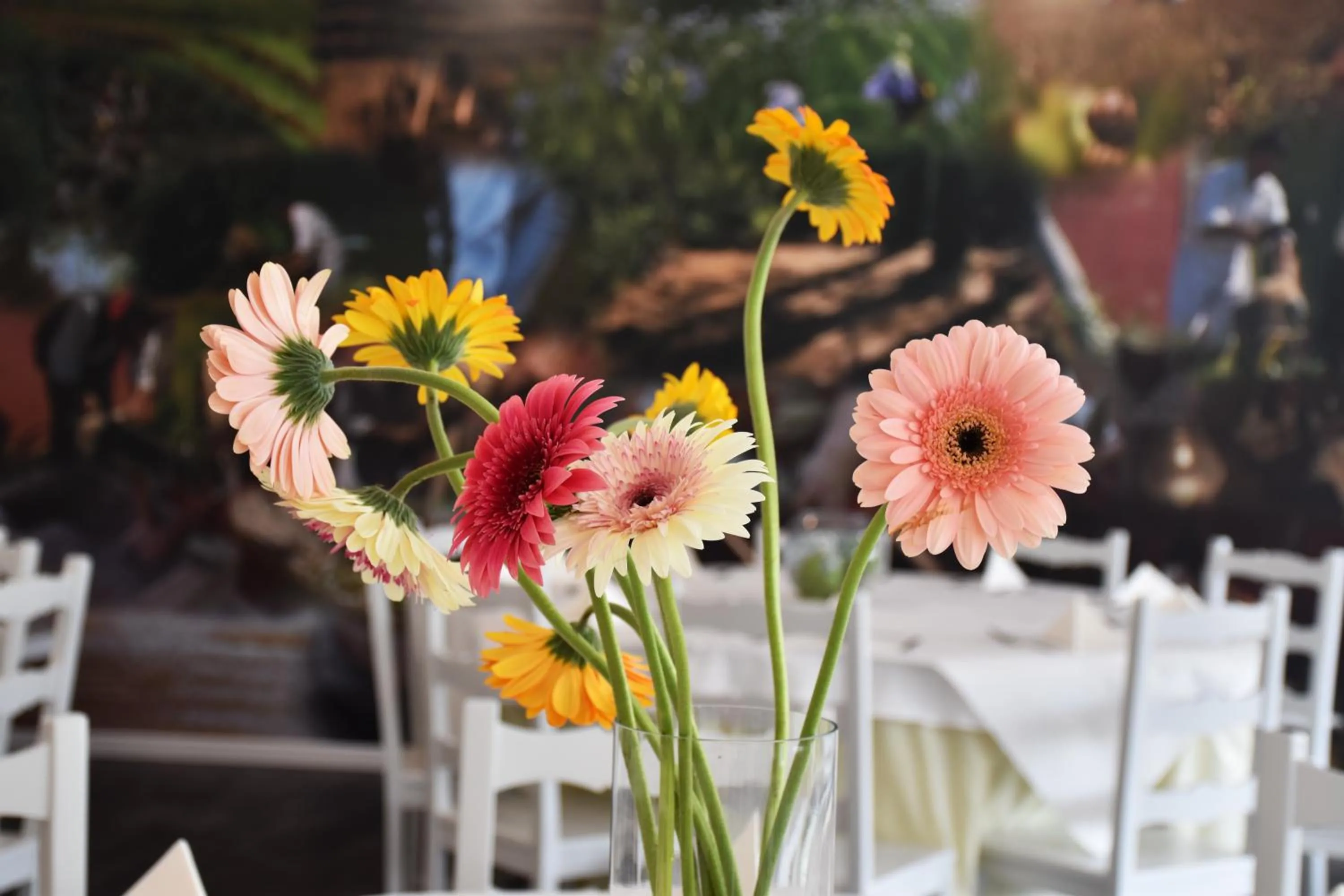 Restaurant/places to eat in Hotel O Colmo