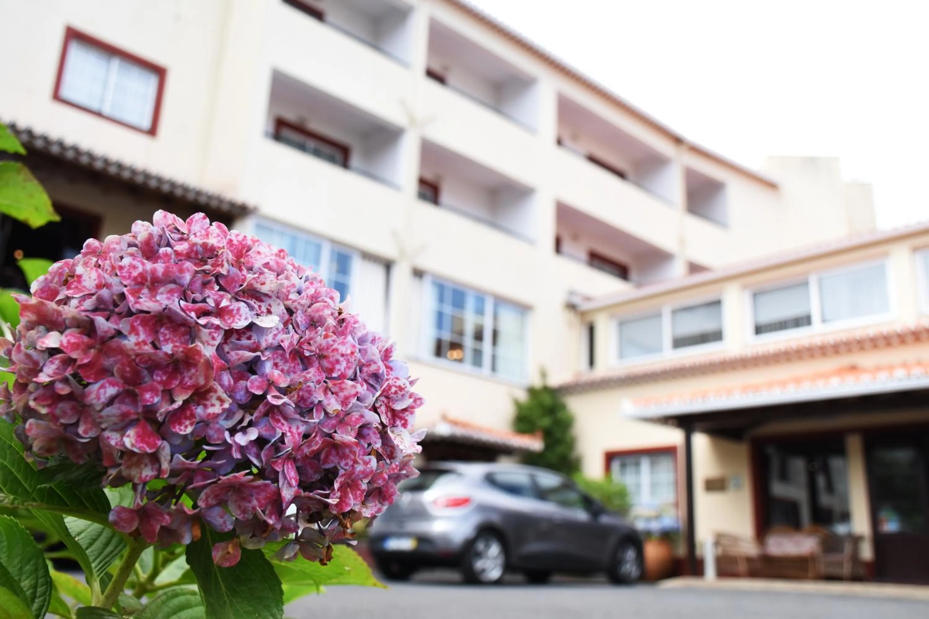 Property building in Hotel O Colmo